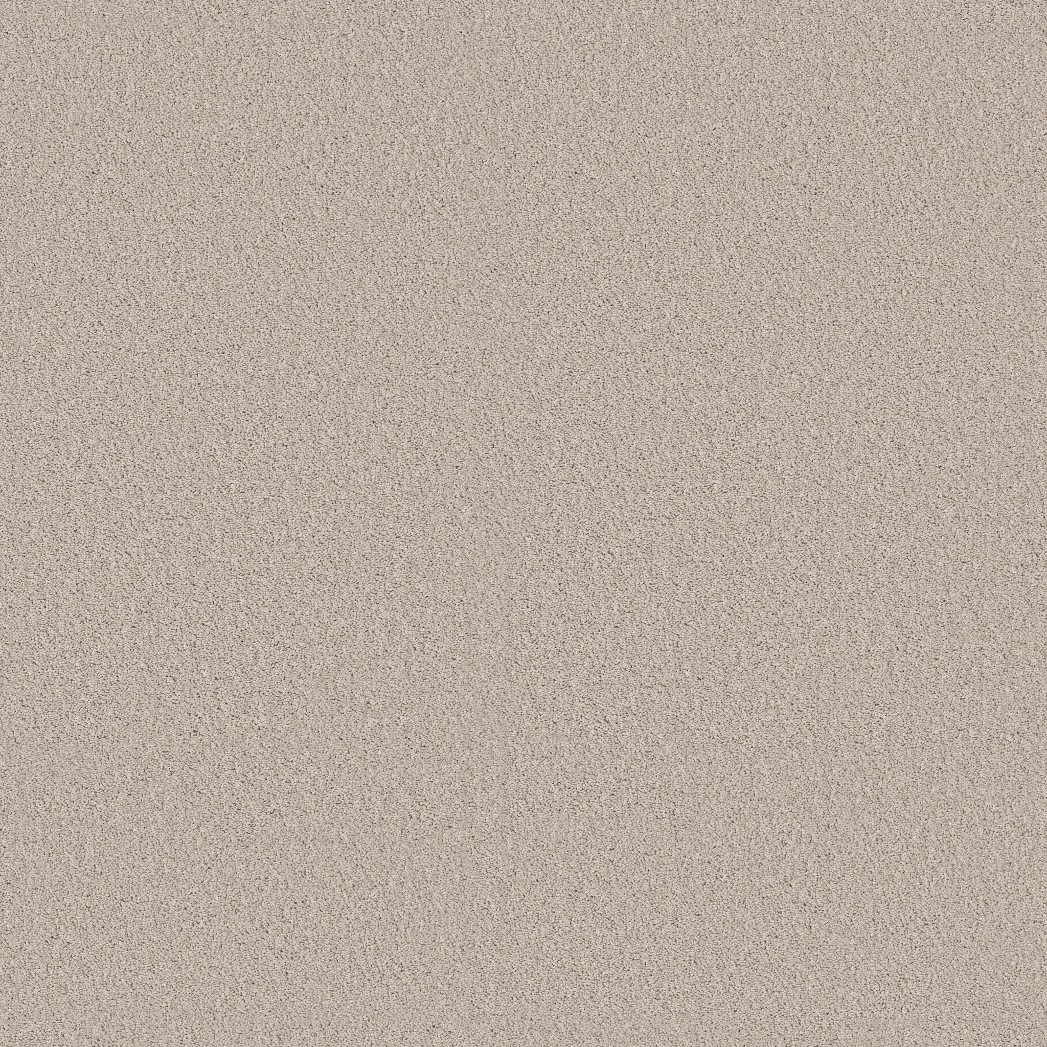 Arcadian Shores HFN83 00101 | Shaw Builder Flooring