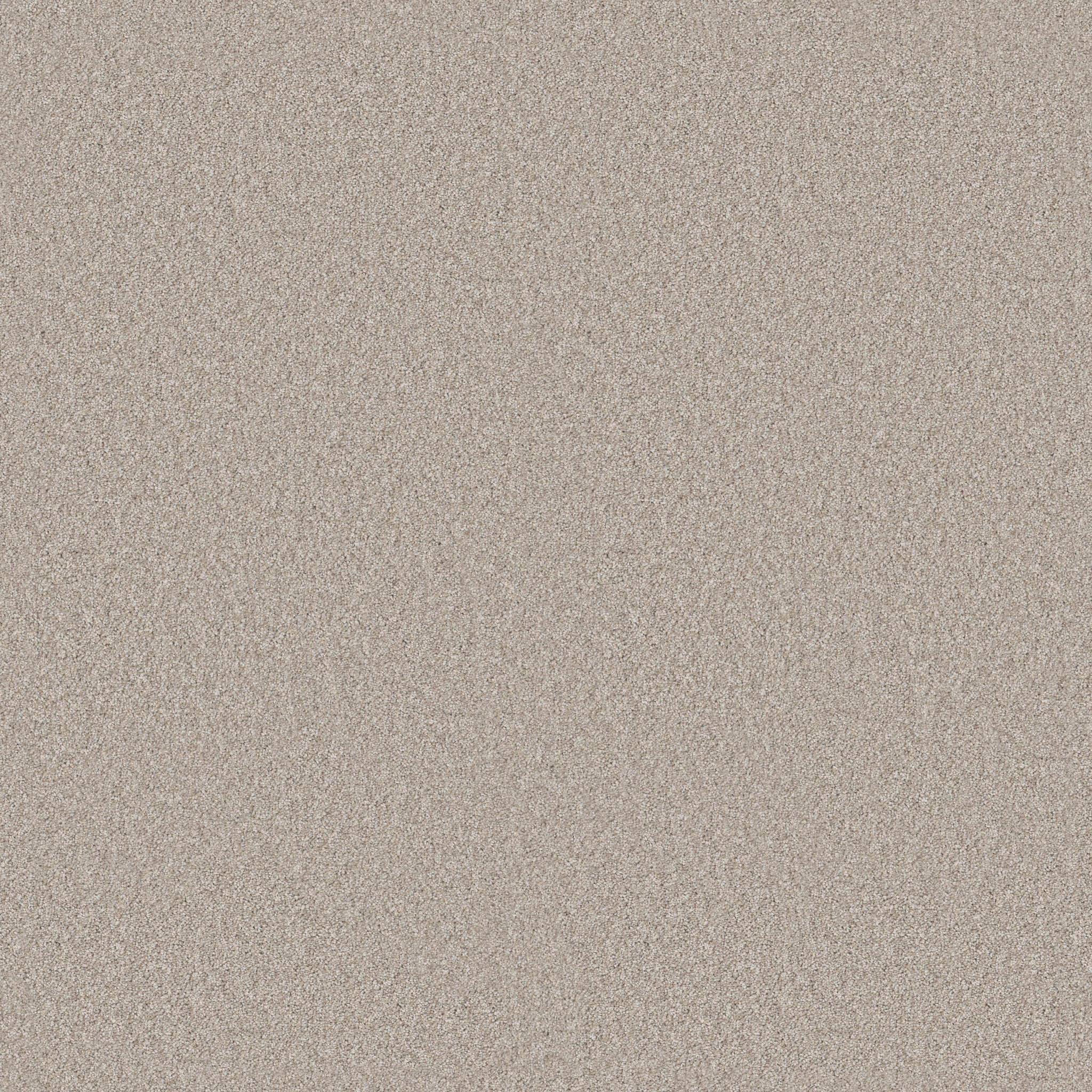 Arcadian Tropics HFN84 00121 | Shaw Builder Flooring