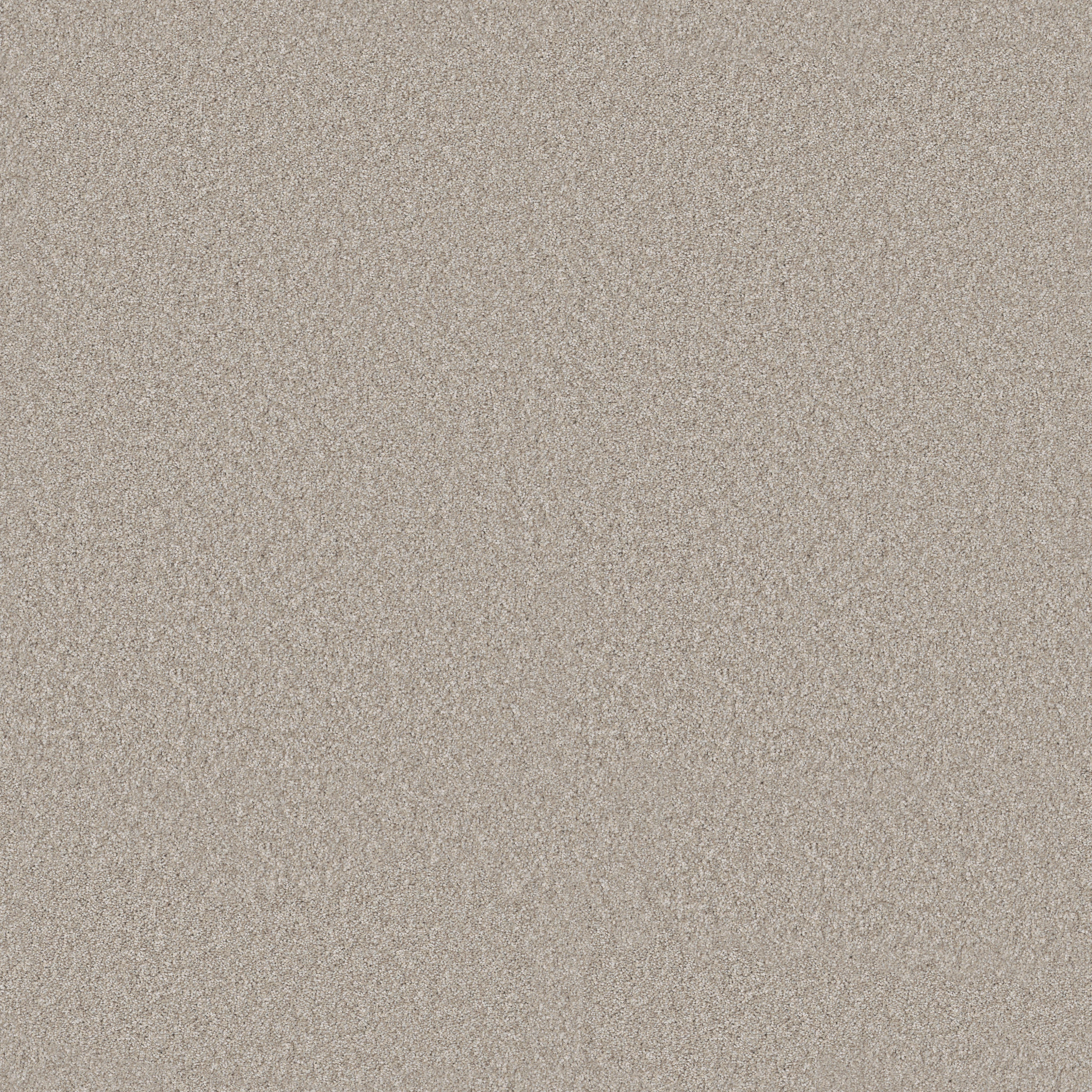 Arcadian Tropics HFN84 00124 | Shaw Builder Flooring