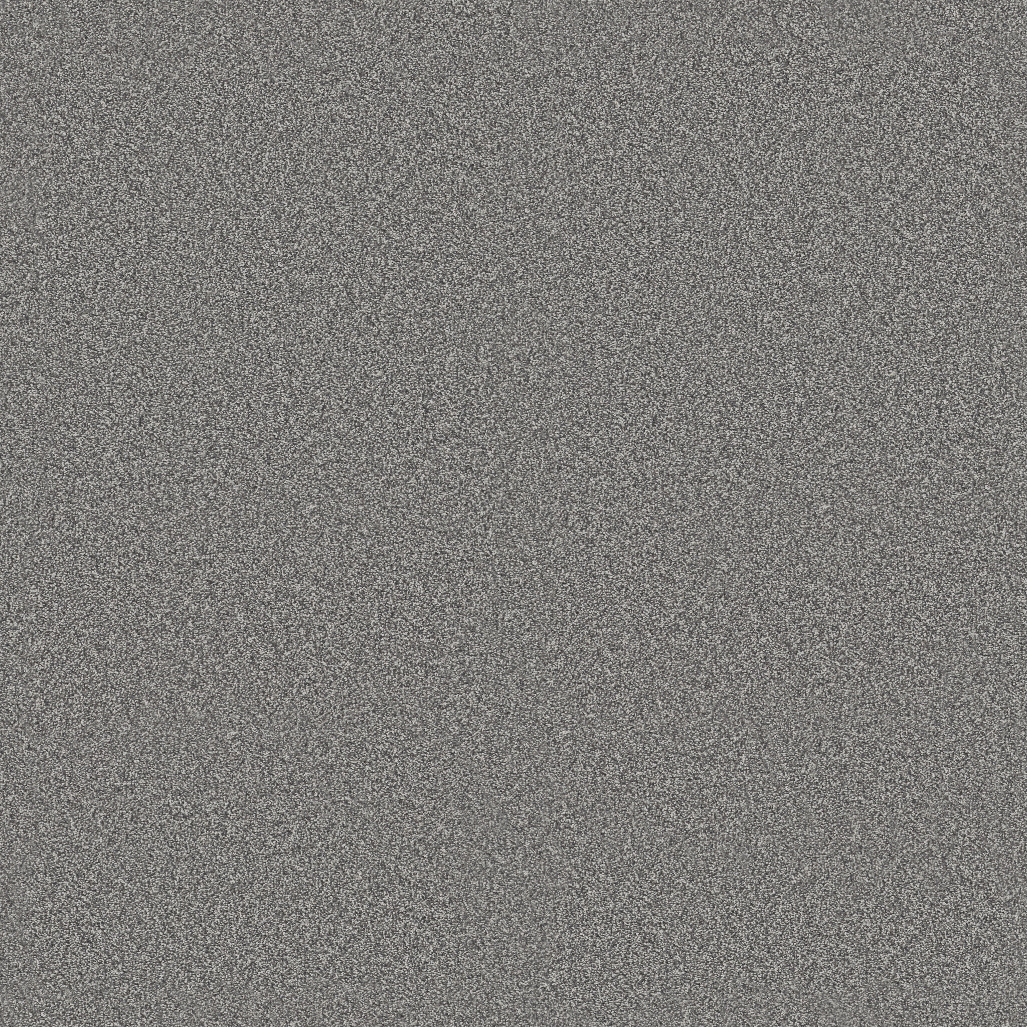 Arcadian Tropics-Graphic