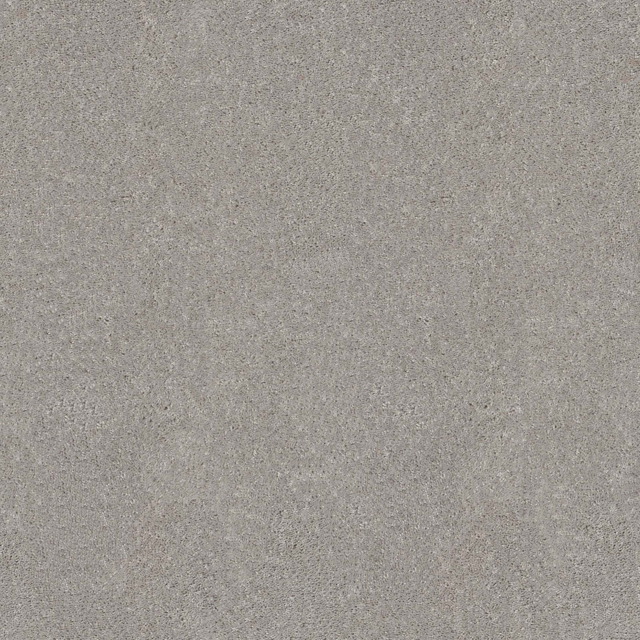 Silver Mist