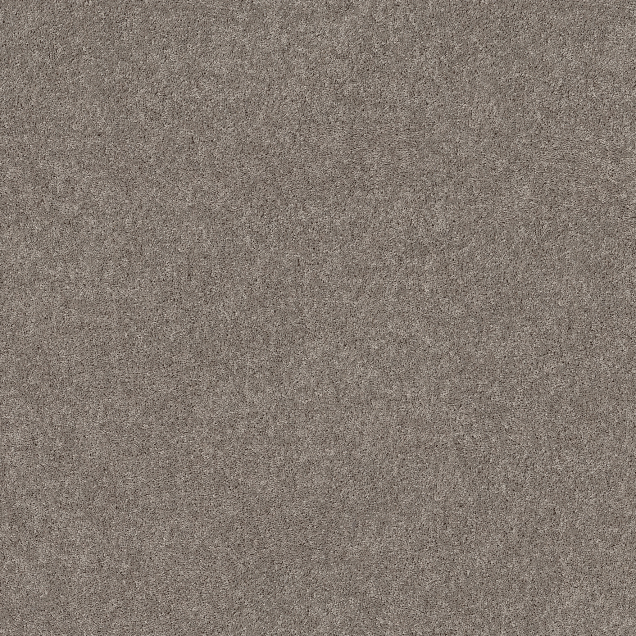 Perfect Taupe