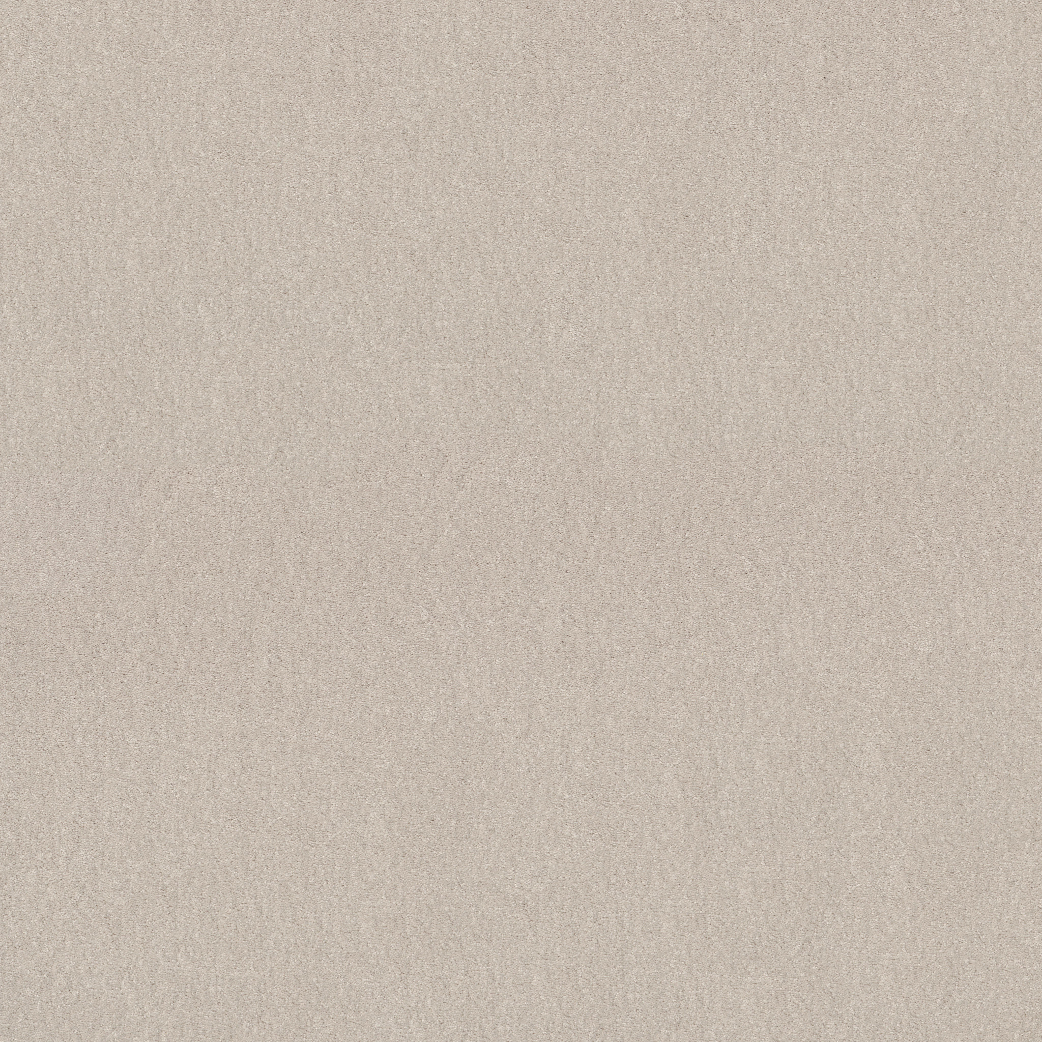 Minimalist