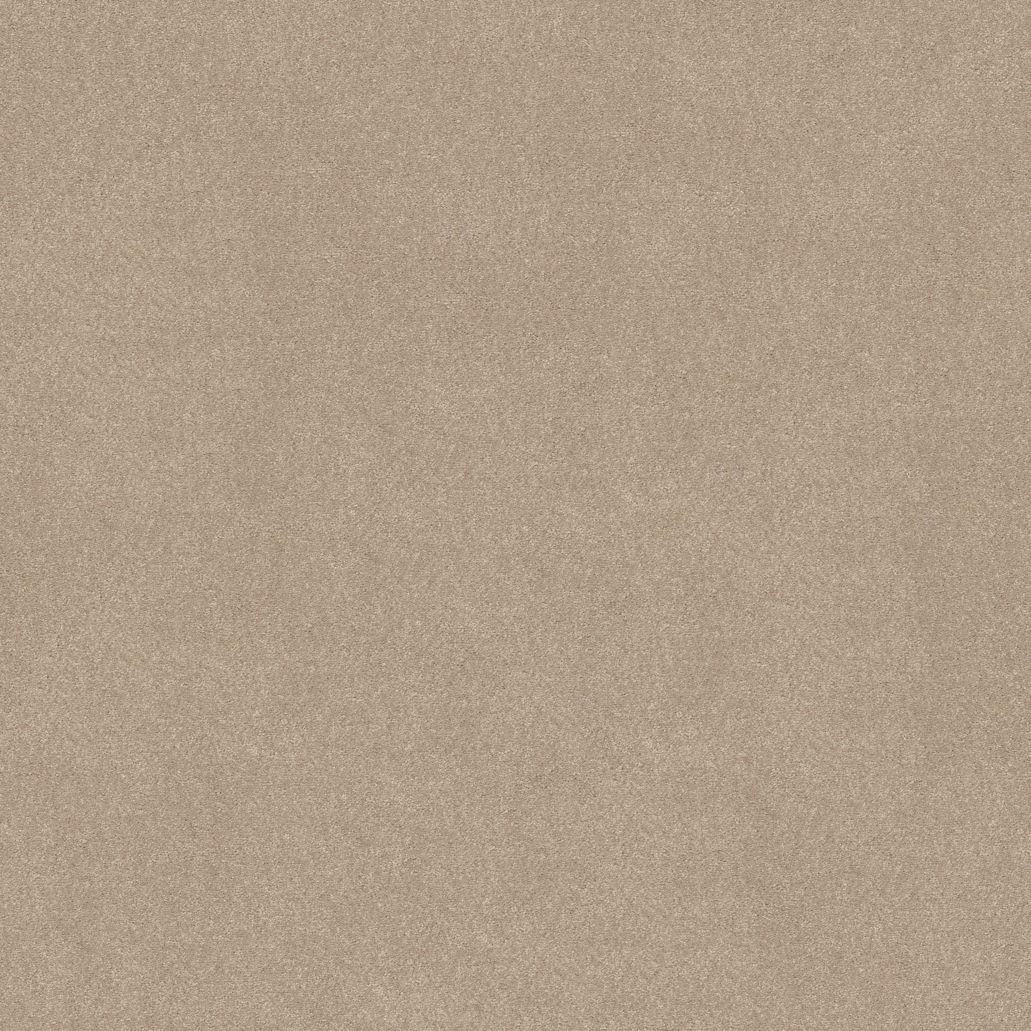 Shaker Beige
