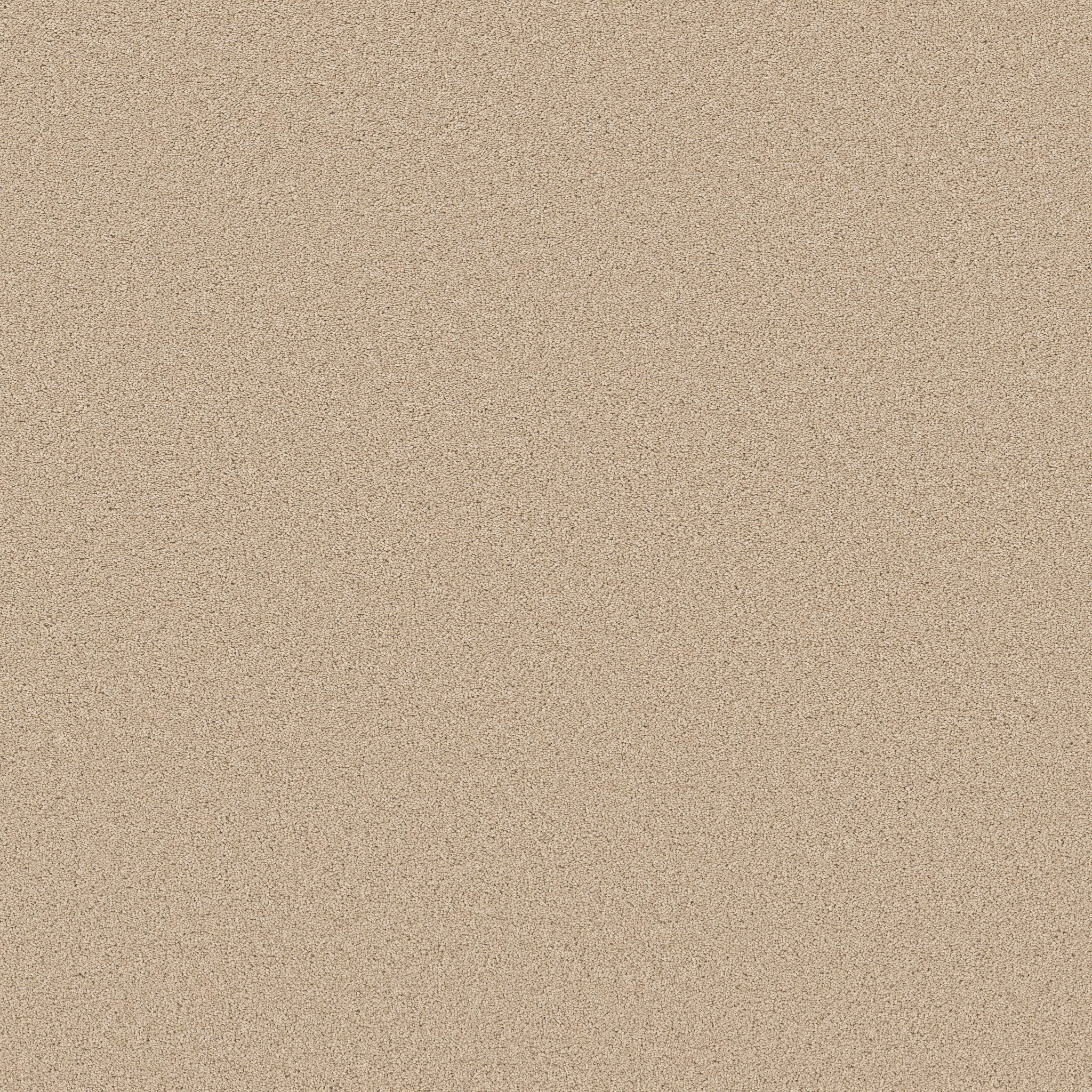 Calm Oasis-Cashew-HFN93_00102