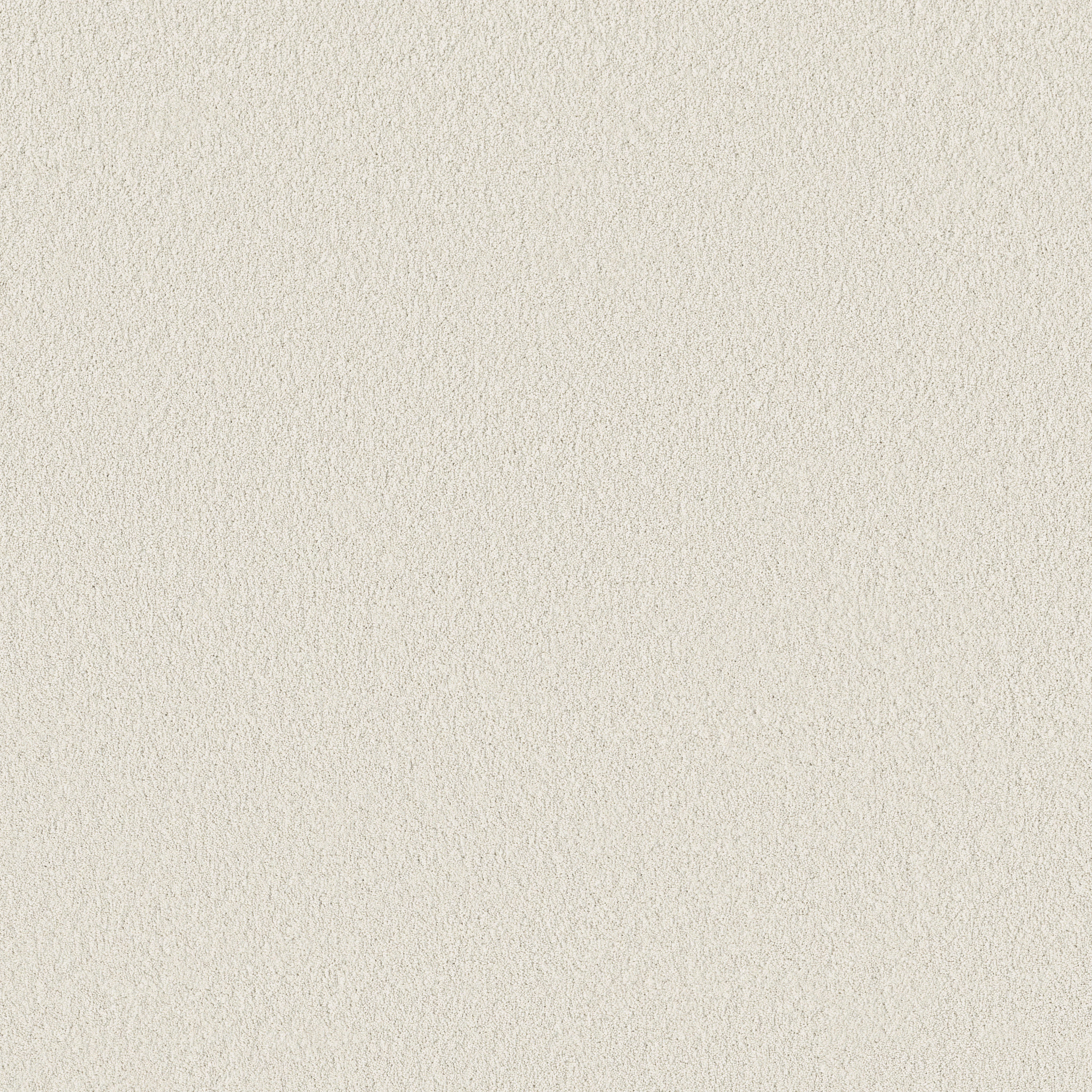 Calm Oasis-Snowfall-HFN93_00150