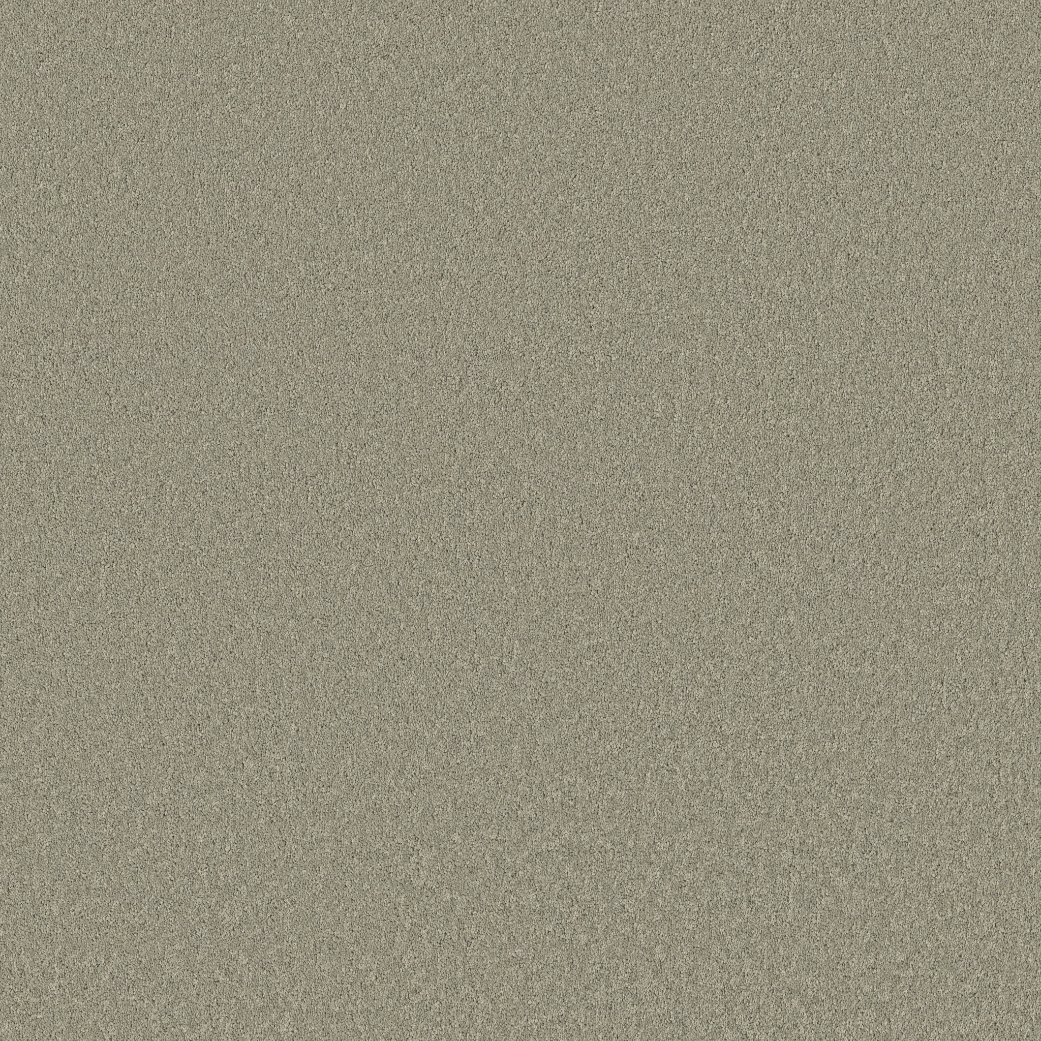 Calm Oasis-Organic Grown-HFN93_00320