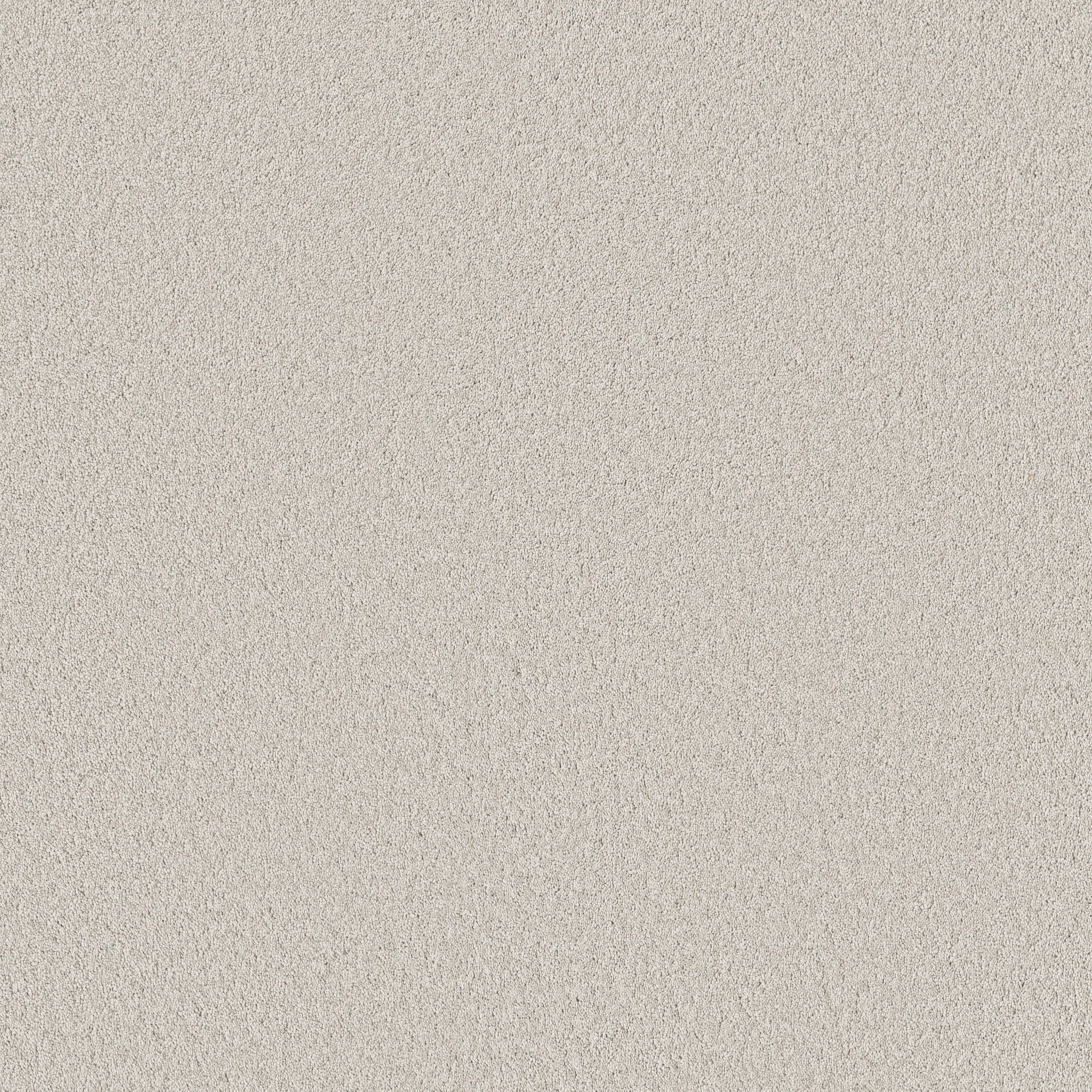 Calm Oasis-Frozen-HFN93_00500