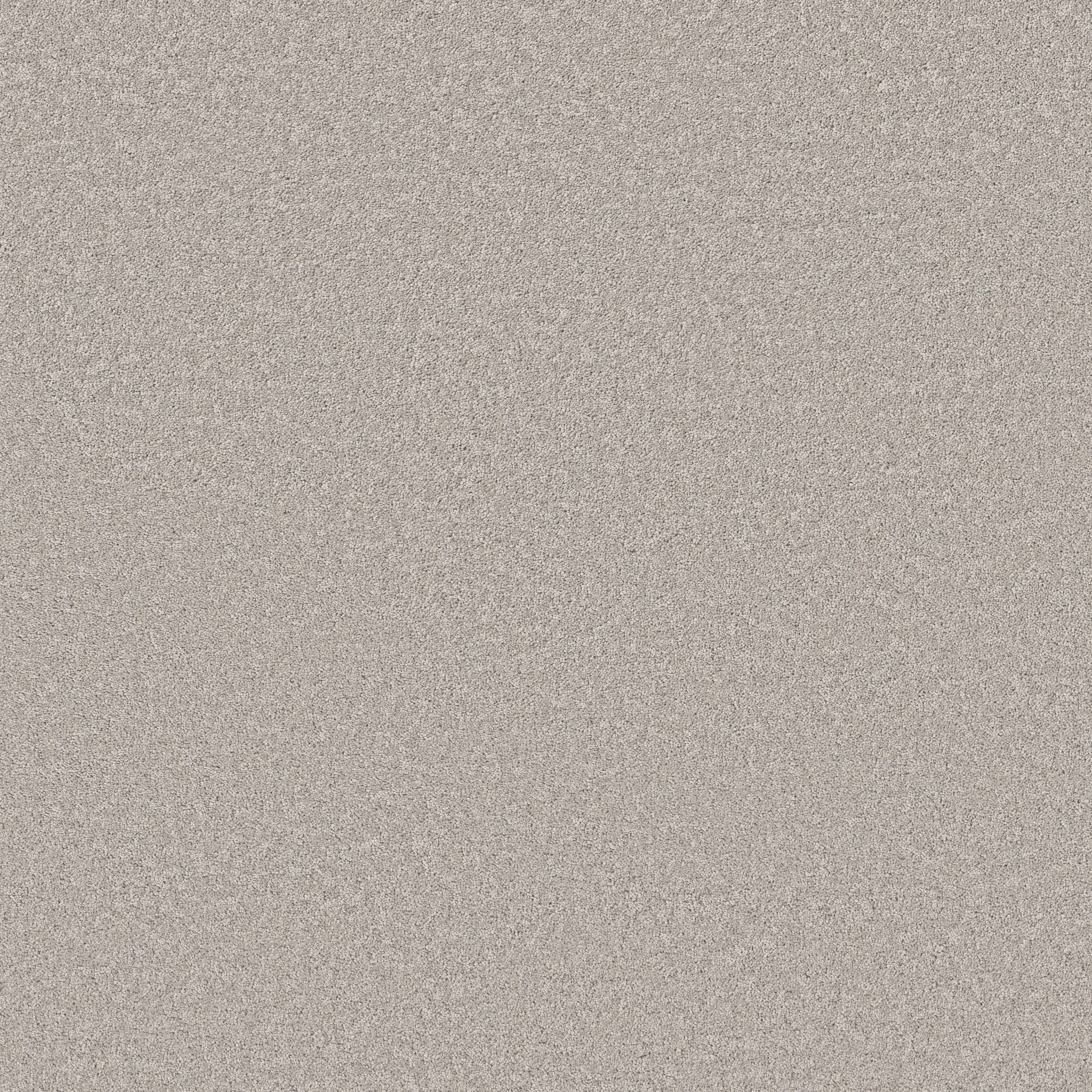 Calm Oasis-Gravity-HFN93_00501