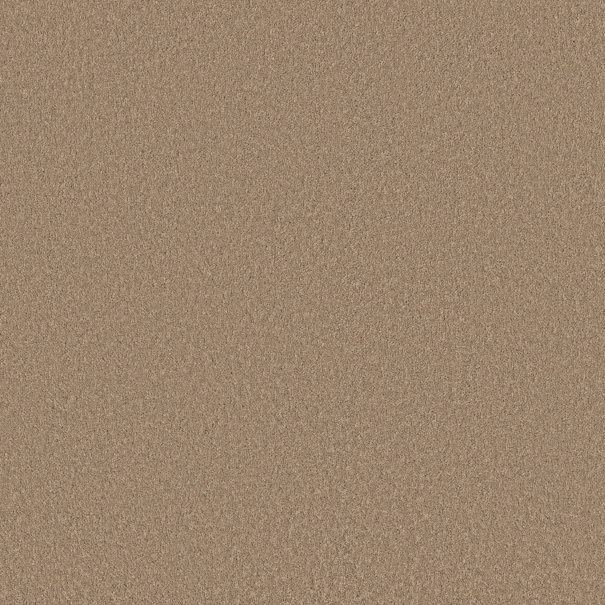 Calm Oasis-Canoe-HFN93_00700