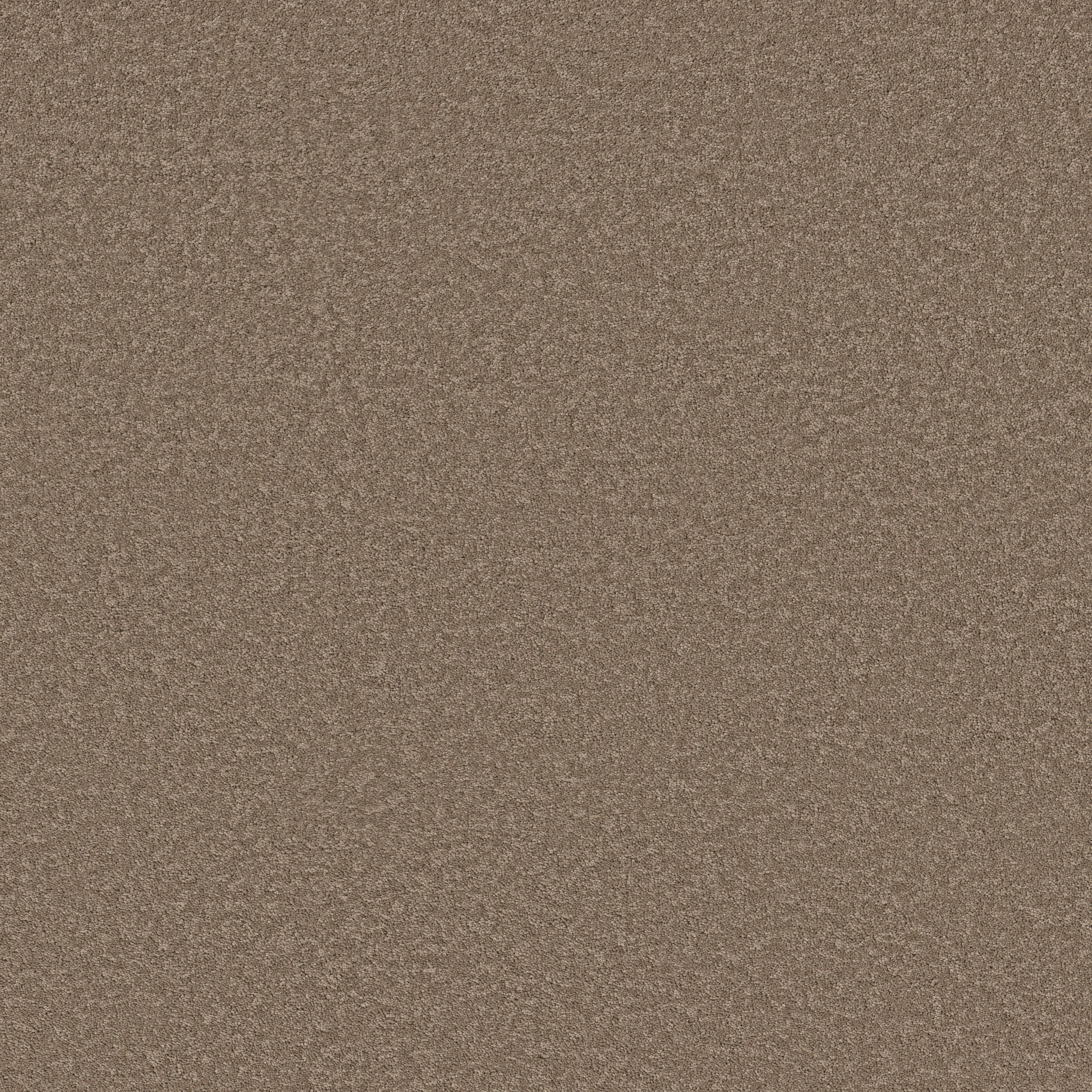 Calm Oasis-Timberlake-HFN93_00701