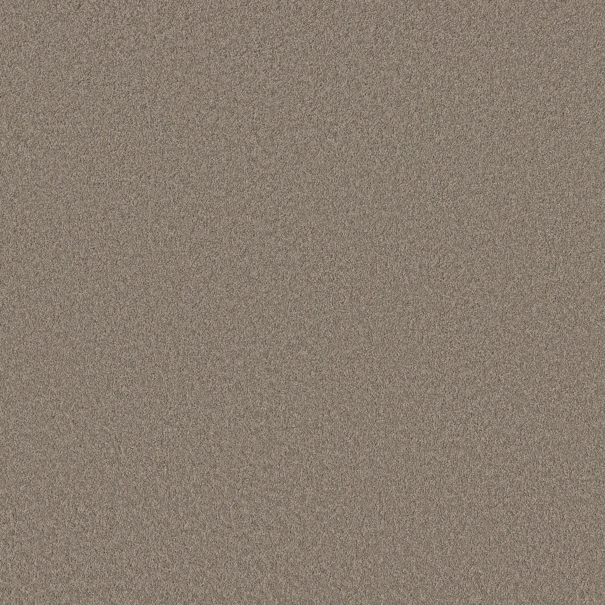 Calm Oasis - Plaza Taupe - HFN93_00702