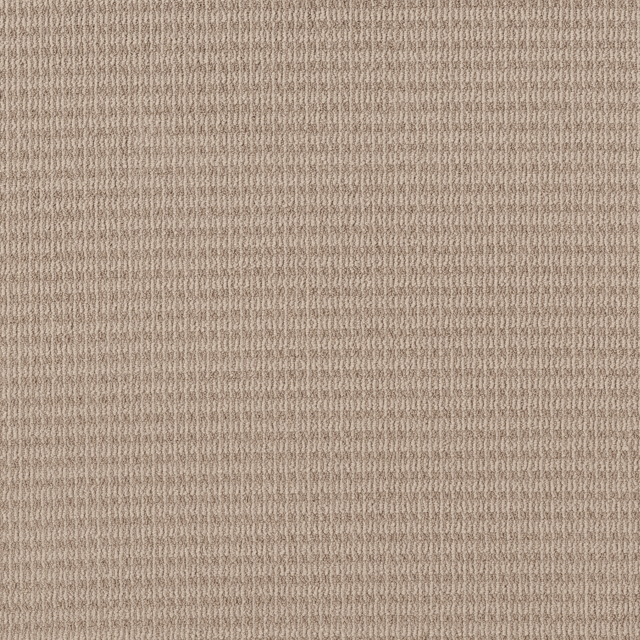 Whispering Comfort-Sun Kissed-HFP04_00107