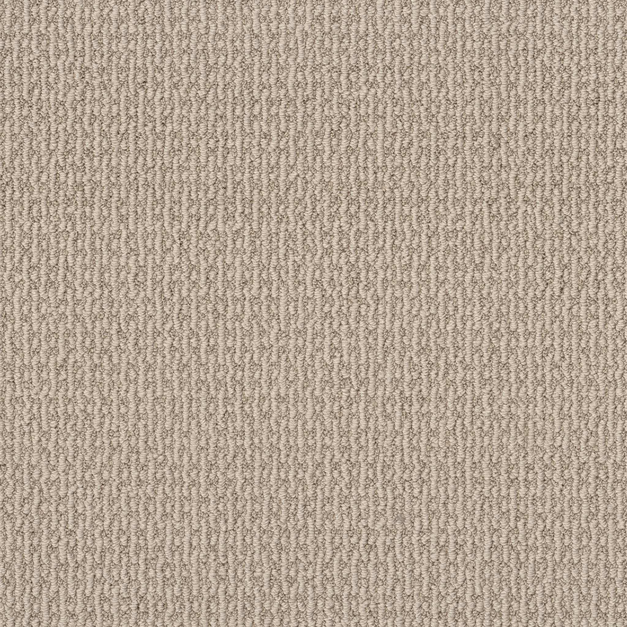 Peaceful Path-Sun Kissed-HFP05_00107