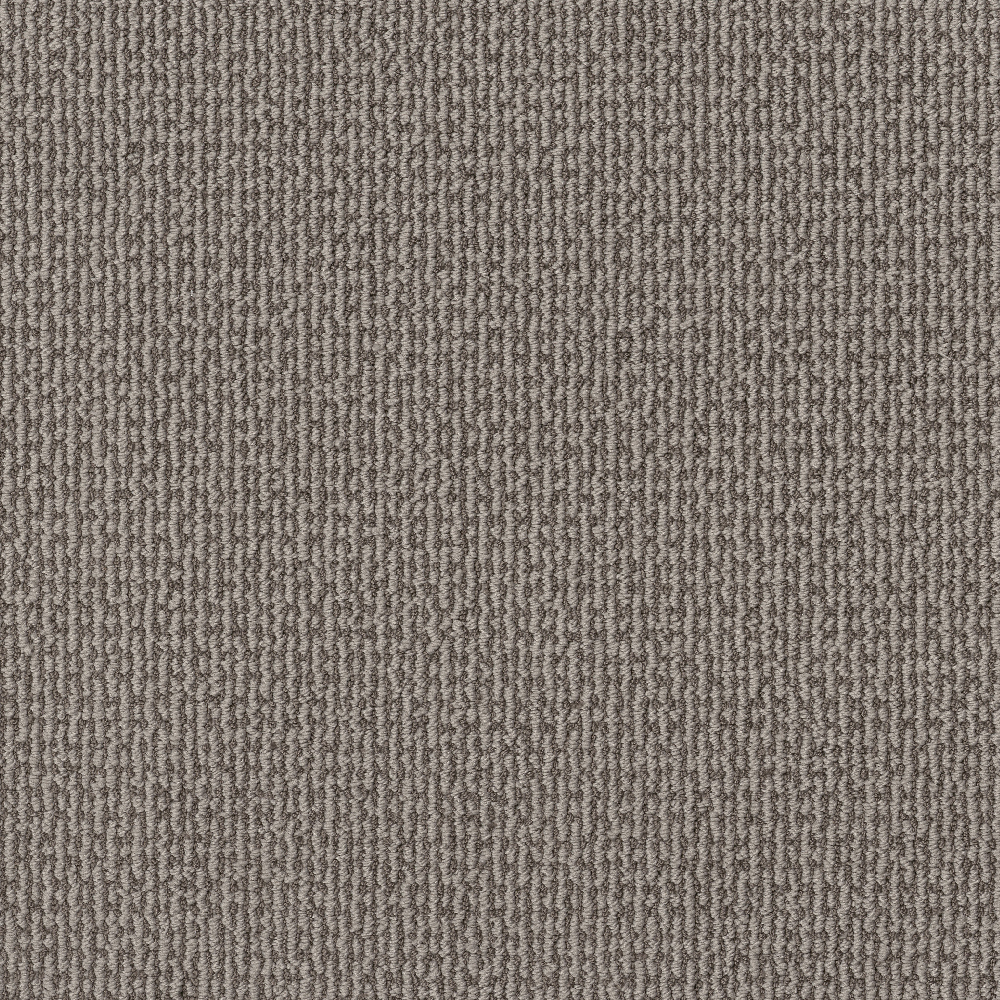 Peaceful Path-Stormy Breeze-HFP05_00505