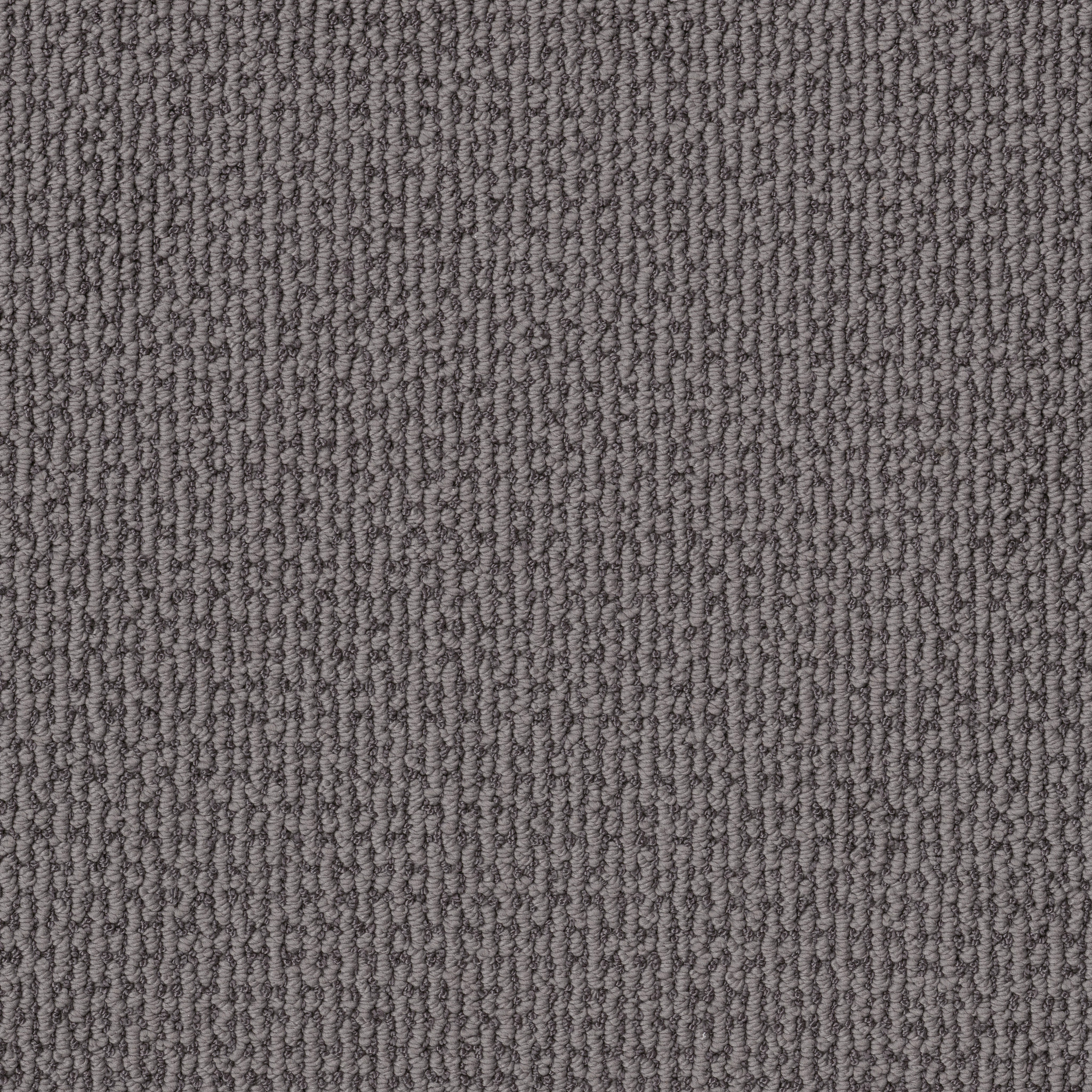 Peaceful Path-Dolphin-HFP05_00507