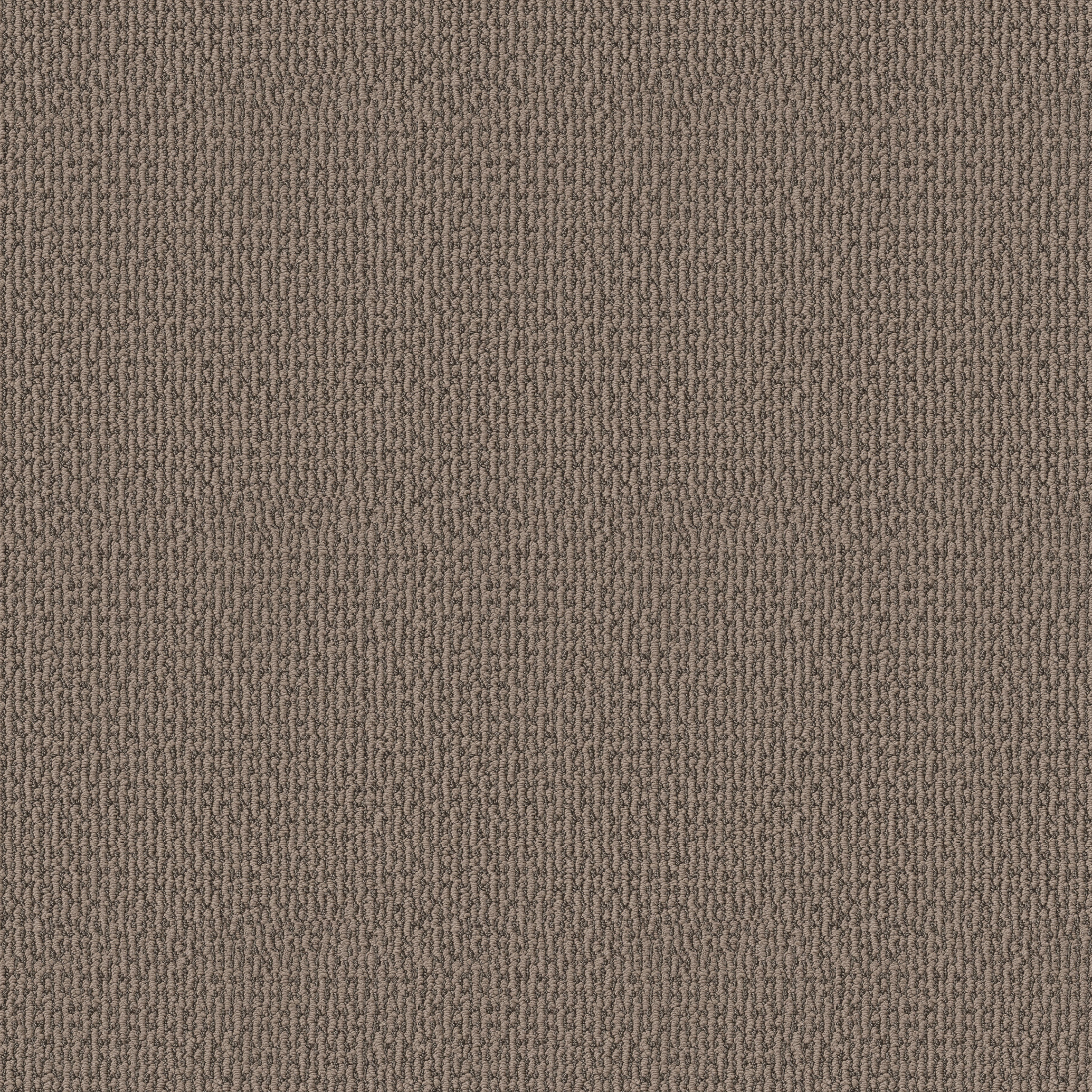 Peaceful Path-Chestnut-HFP05_00701