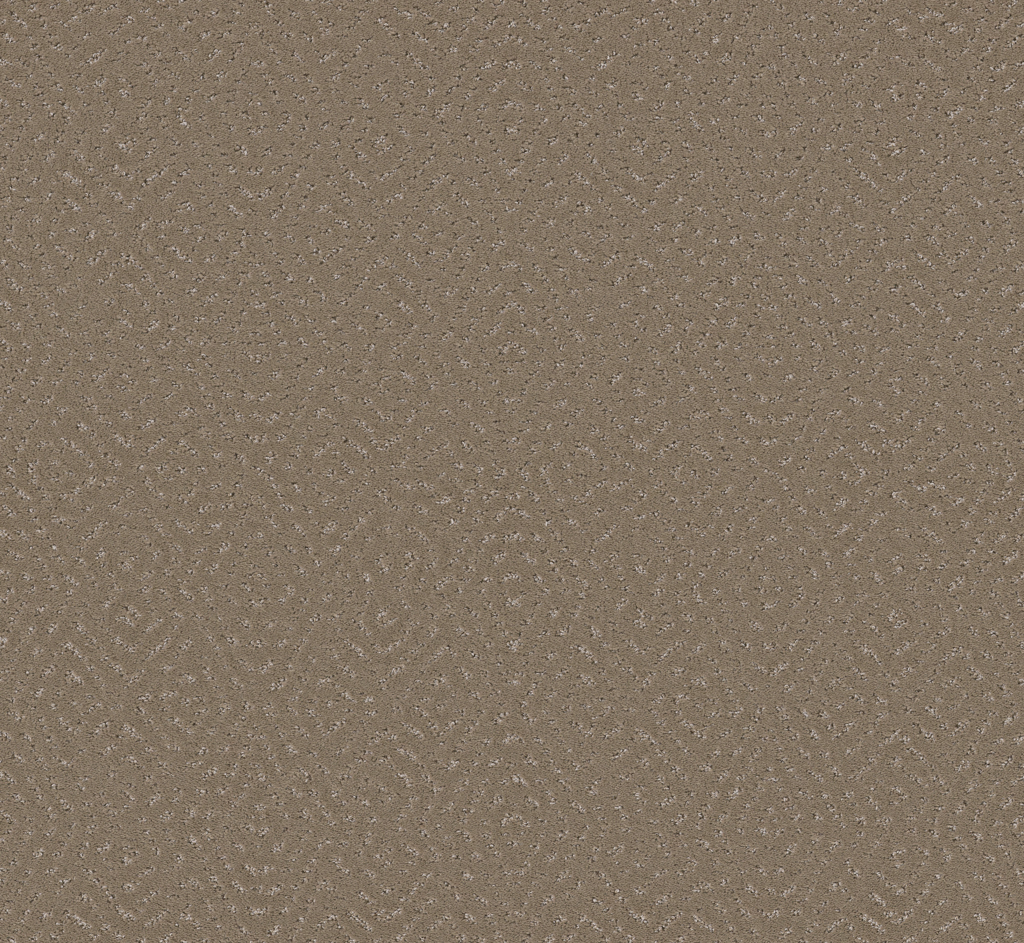 Tranquil Haven-Cameo-HFP06_00113