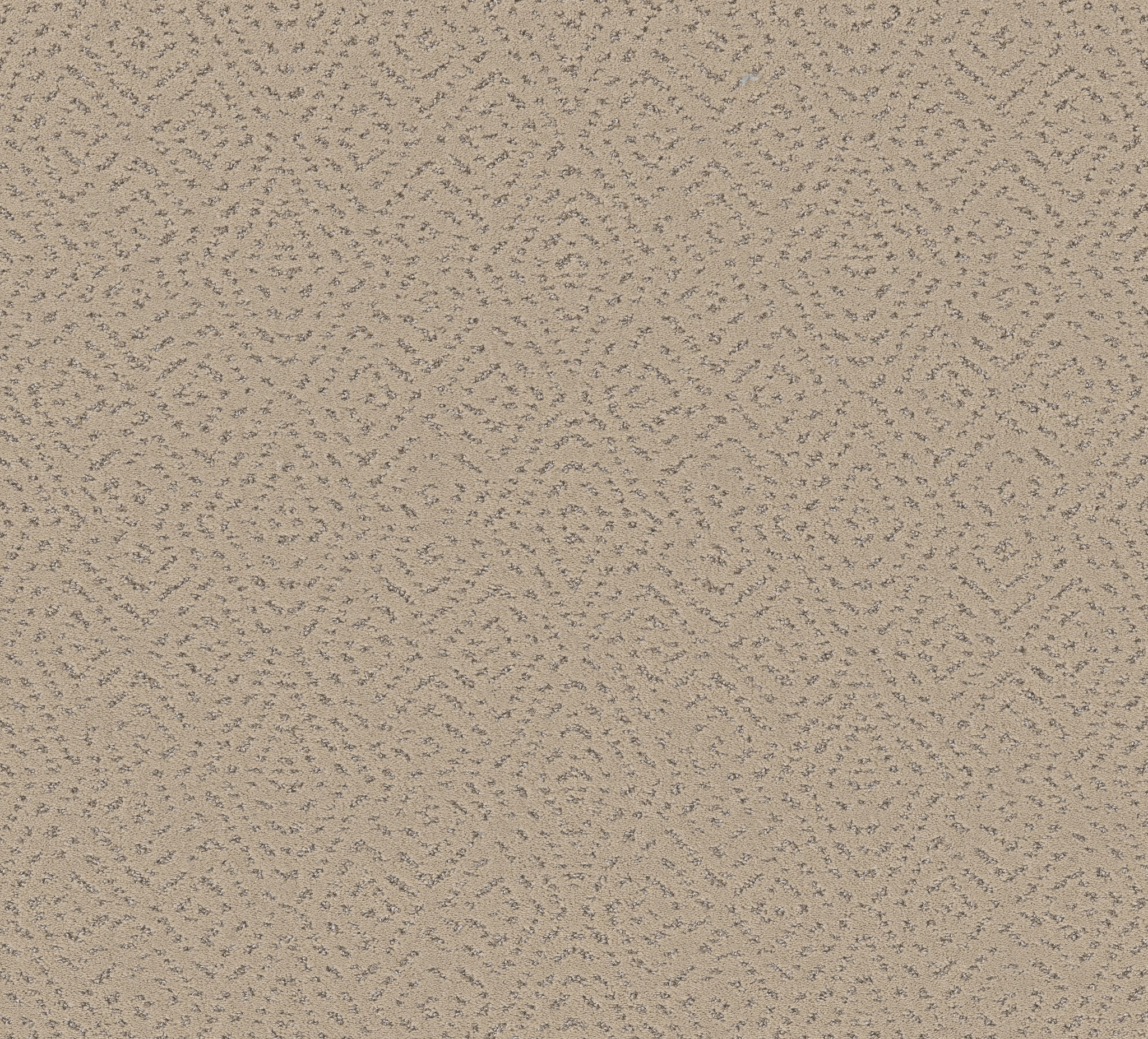 Tranquil Haven-Worn Path-HFP06_00700