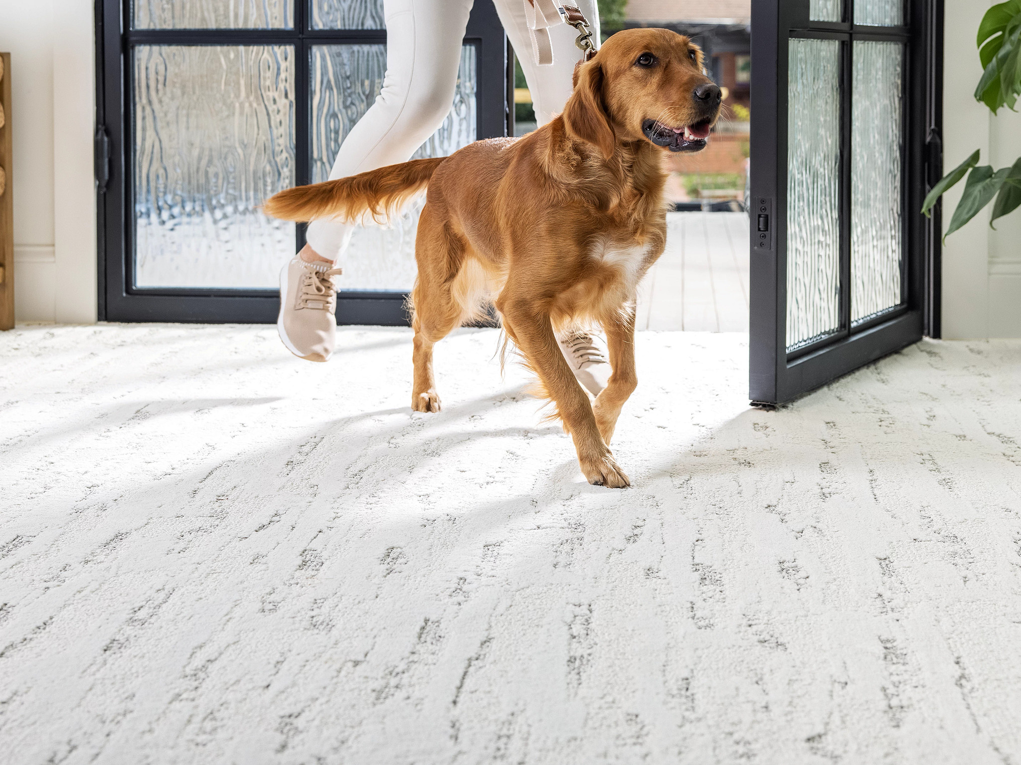 Harmony Glow - Snowfall - HFP07_00150