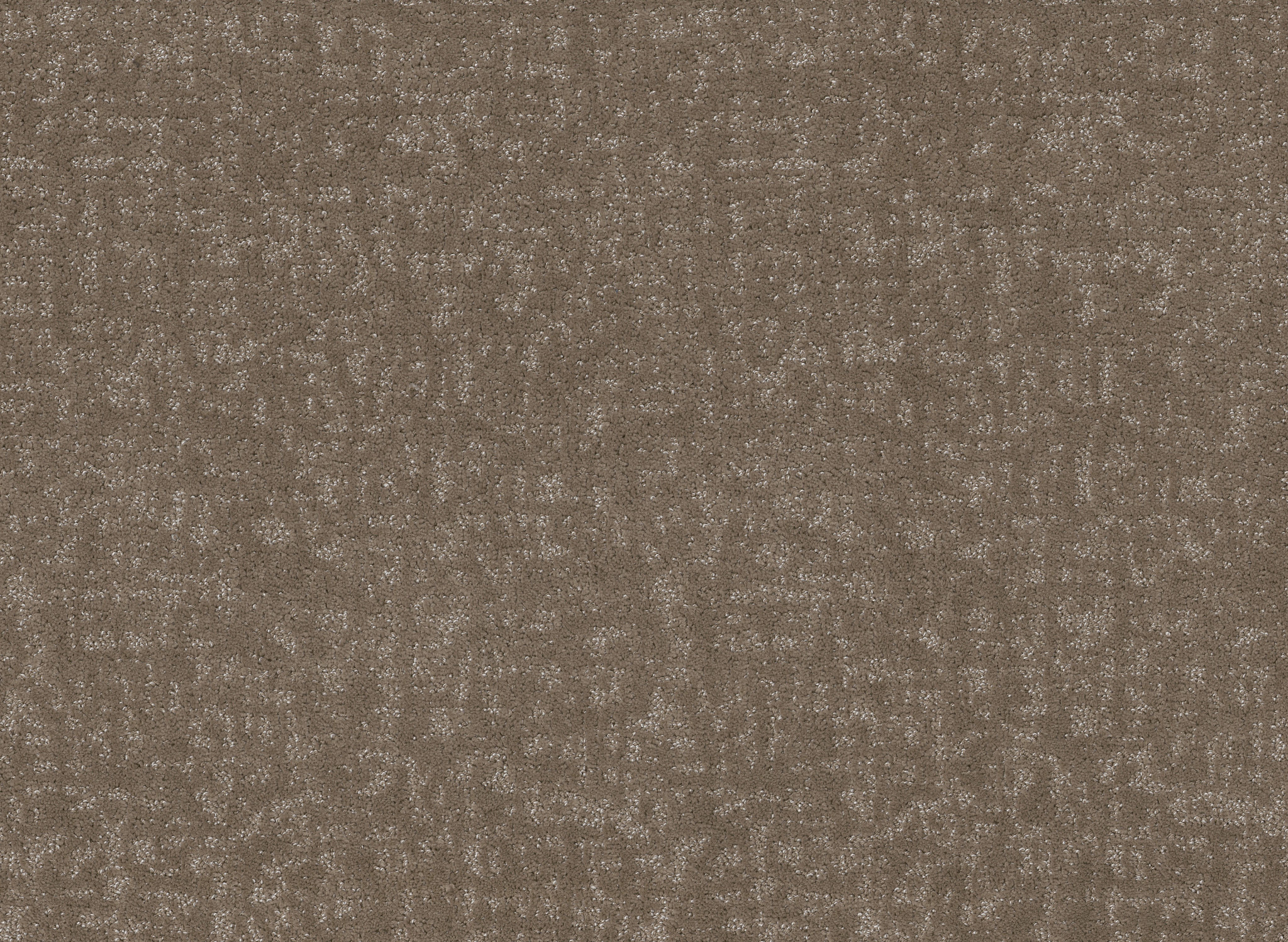 Sunset Serenity-Cameo-HFP08_00113