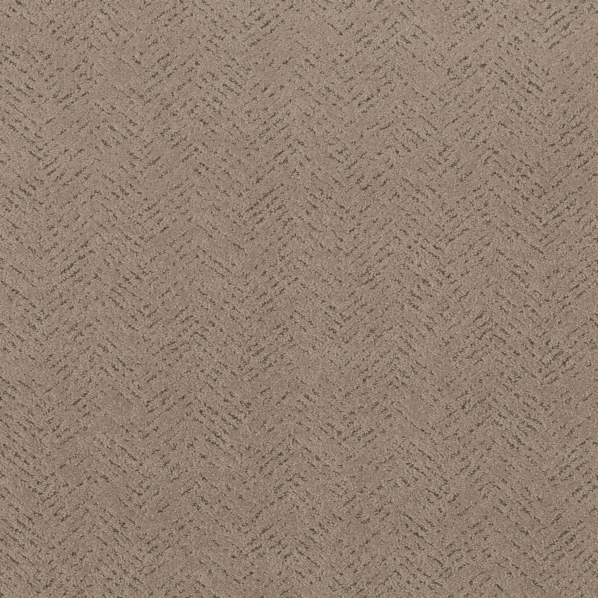 Soft Elegance-Cameo-HFP09_00113
