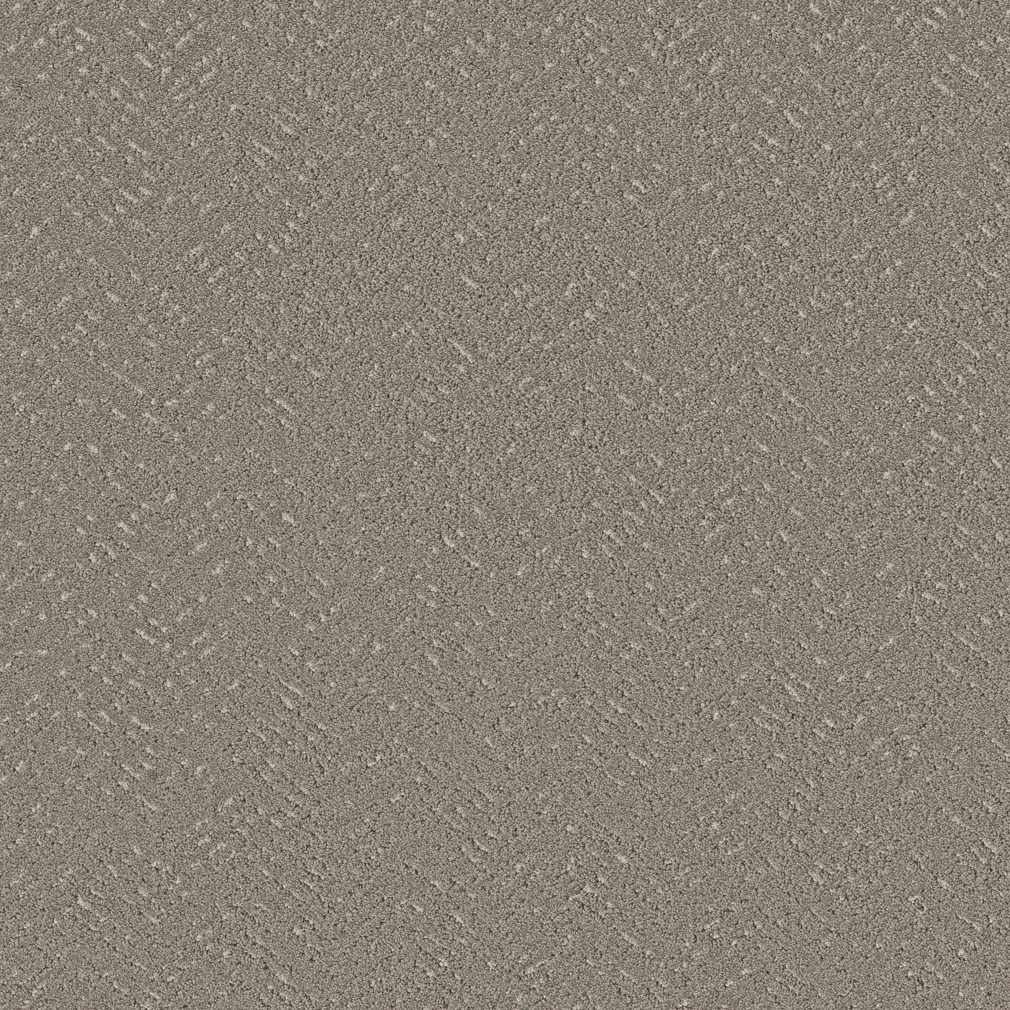 Soft Elegance-Ashes-HFP09_00501