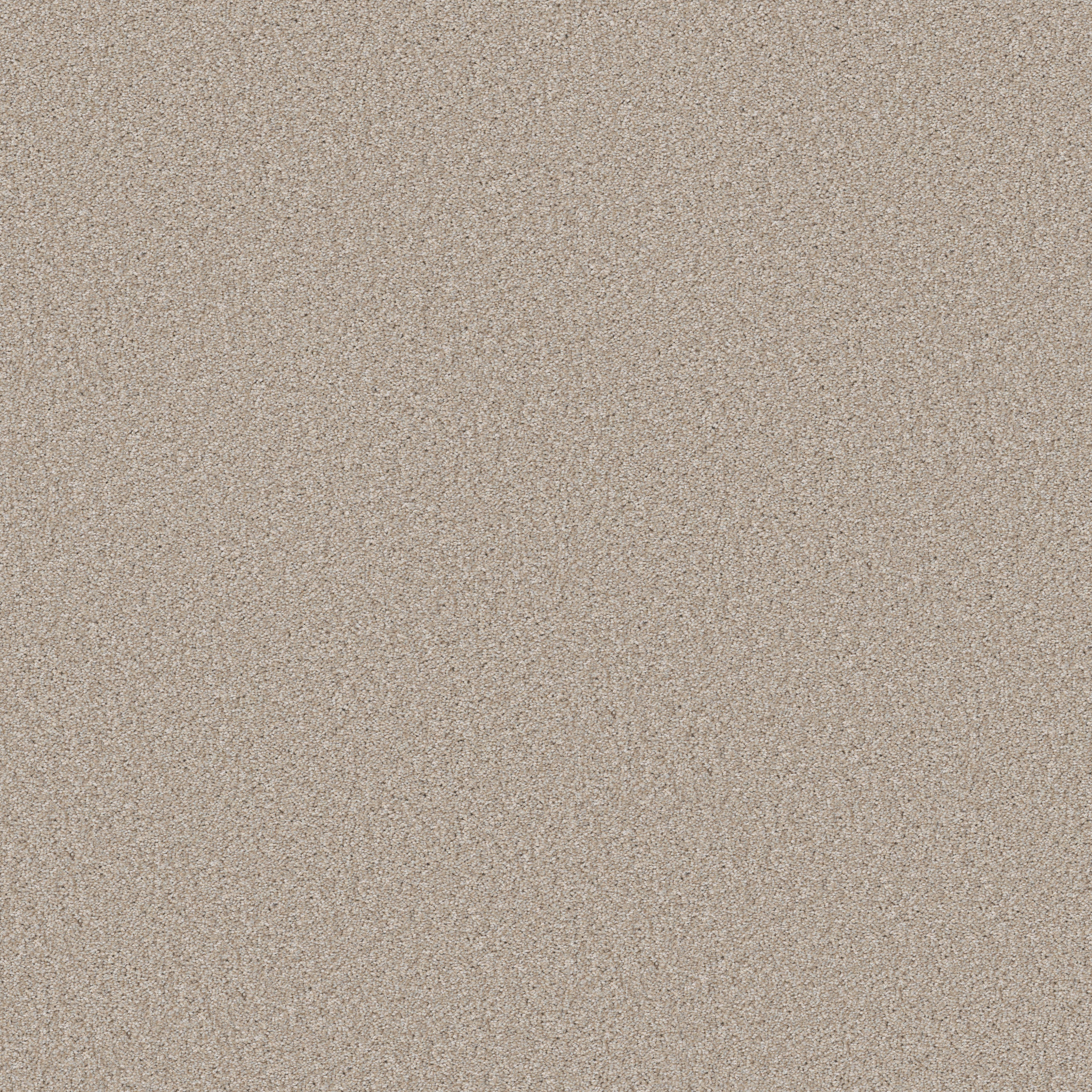 Bright Insight-Sandy Shore-HFP14_00131