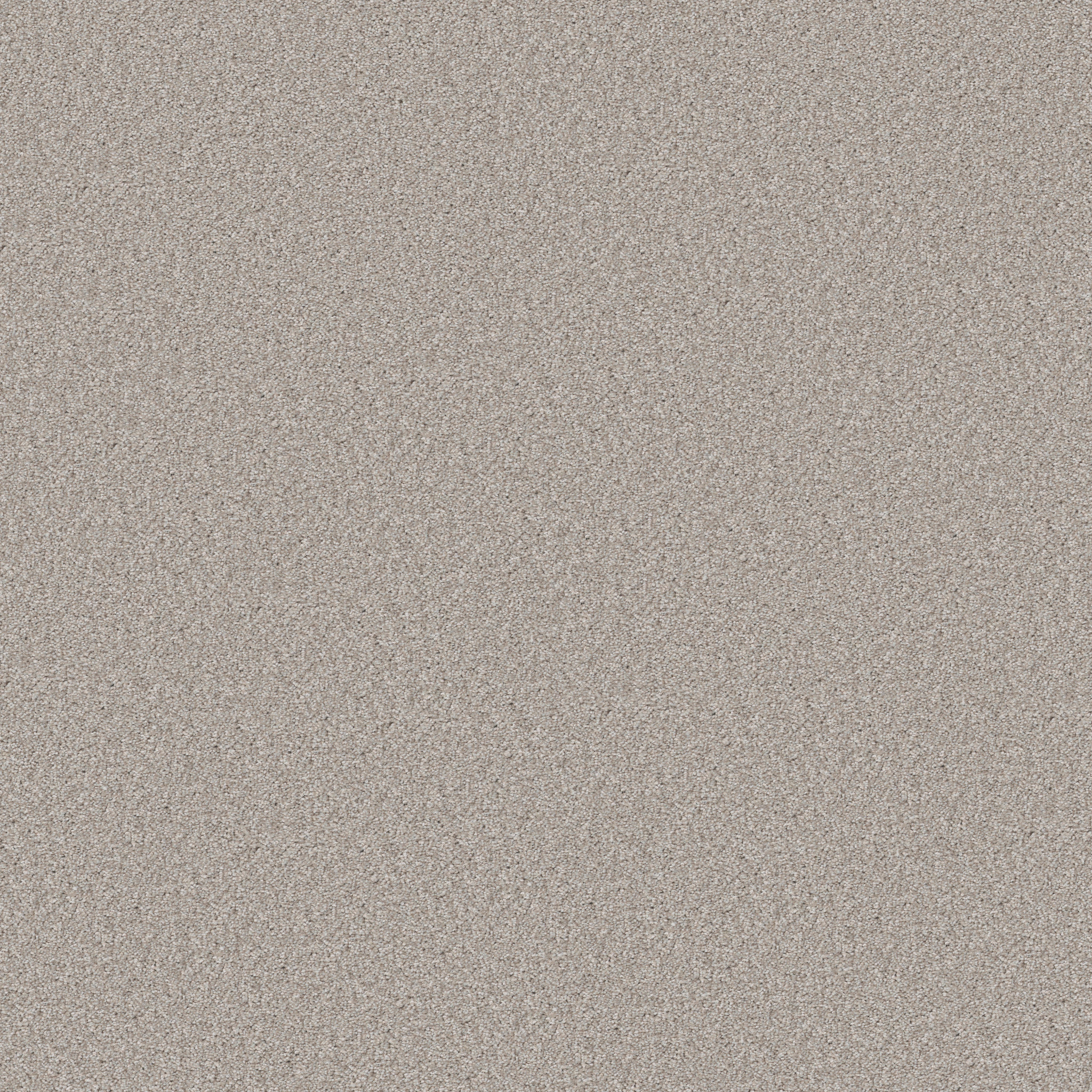 Genius Touch-Desert Light-HFP15_00121