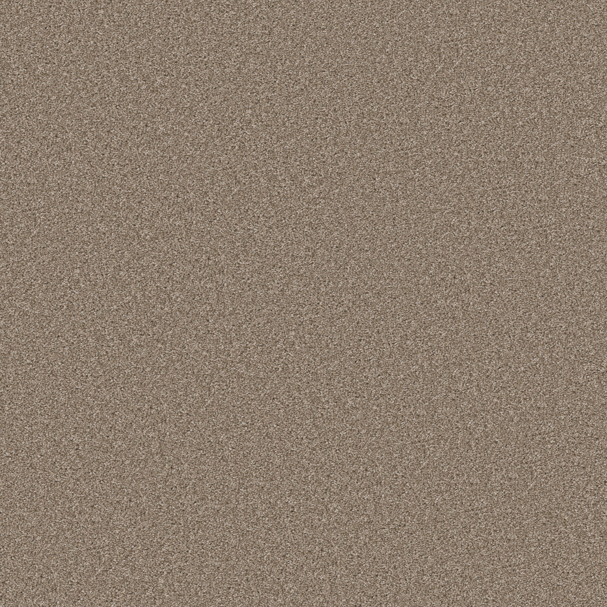 Genius Touch-Grecian Tan-HFP15_00123