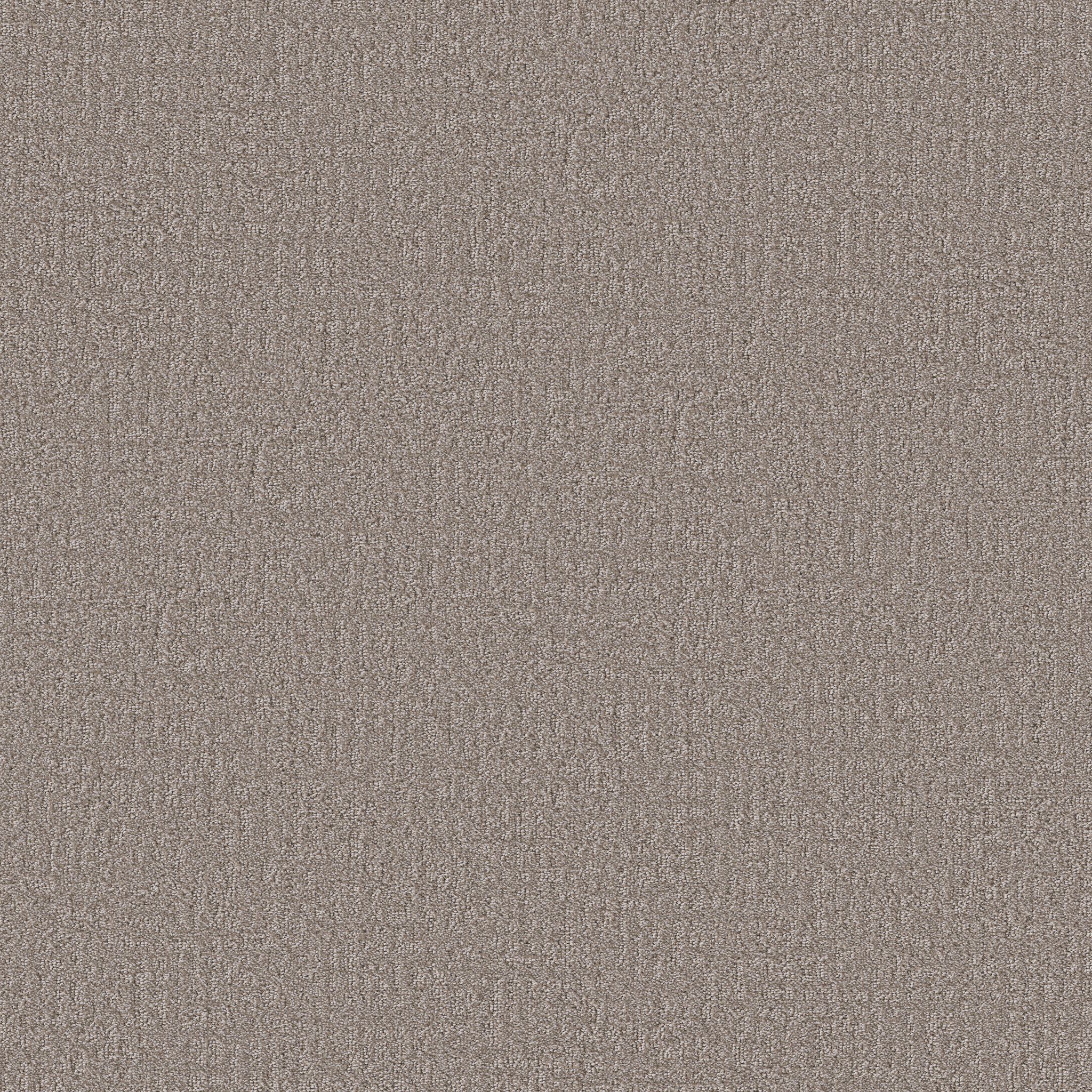 Quiet Terrain-Suede-HFP16_00701