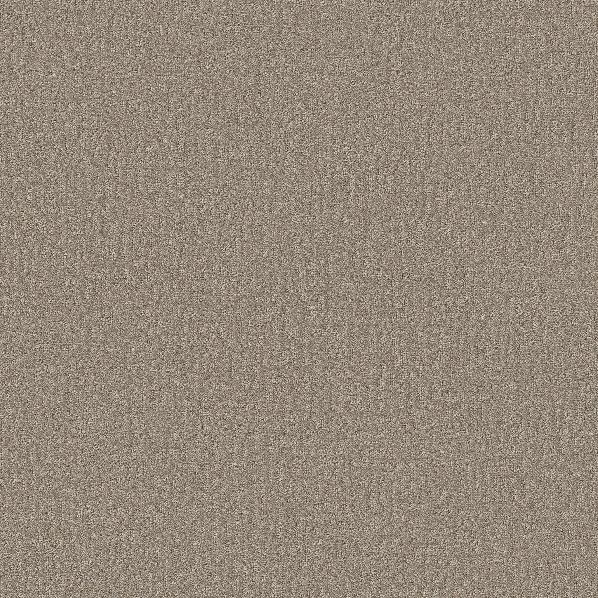 Quiet Terrain-Wicker-HFP16_00704