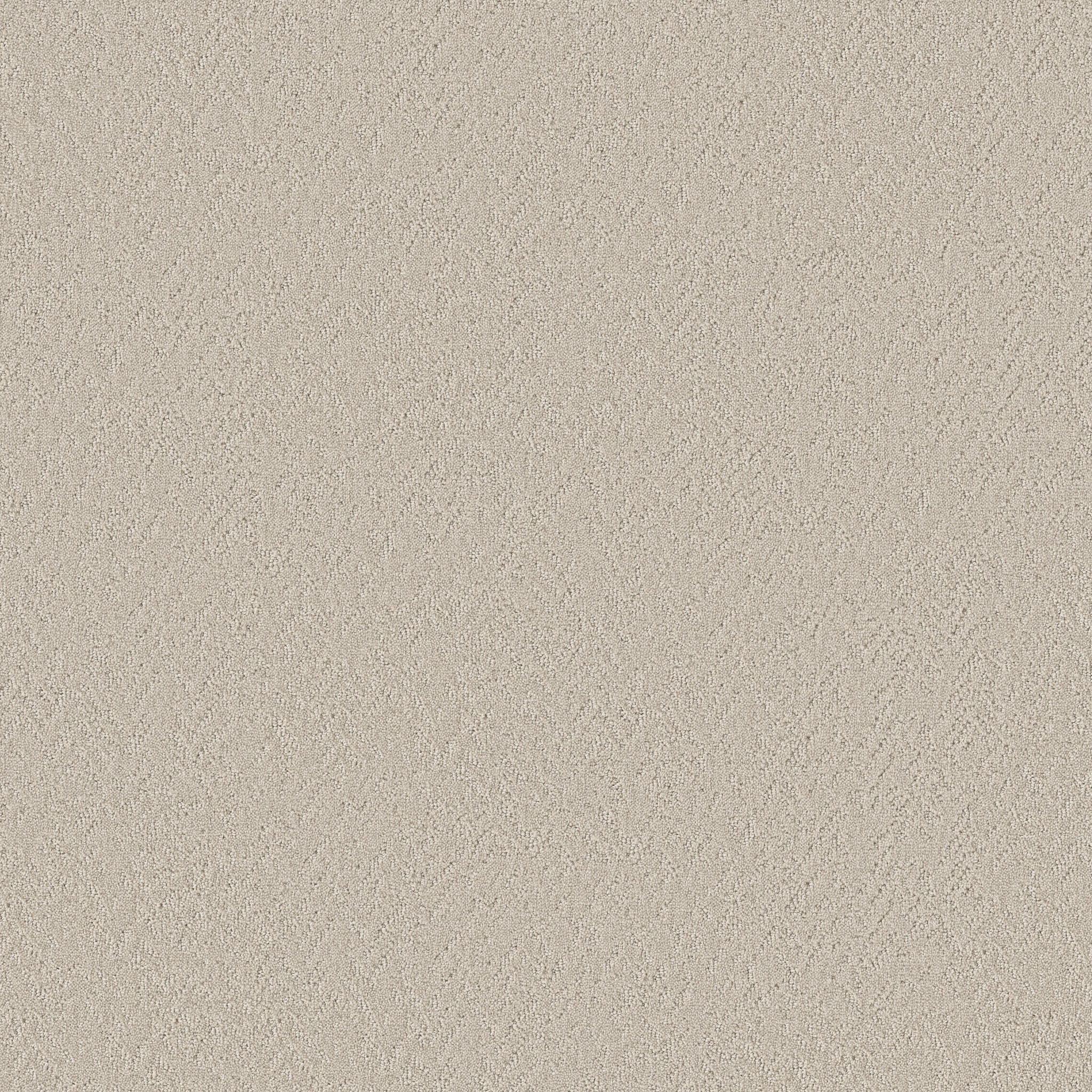 Whisper Field-Boho-HFP17_00109