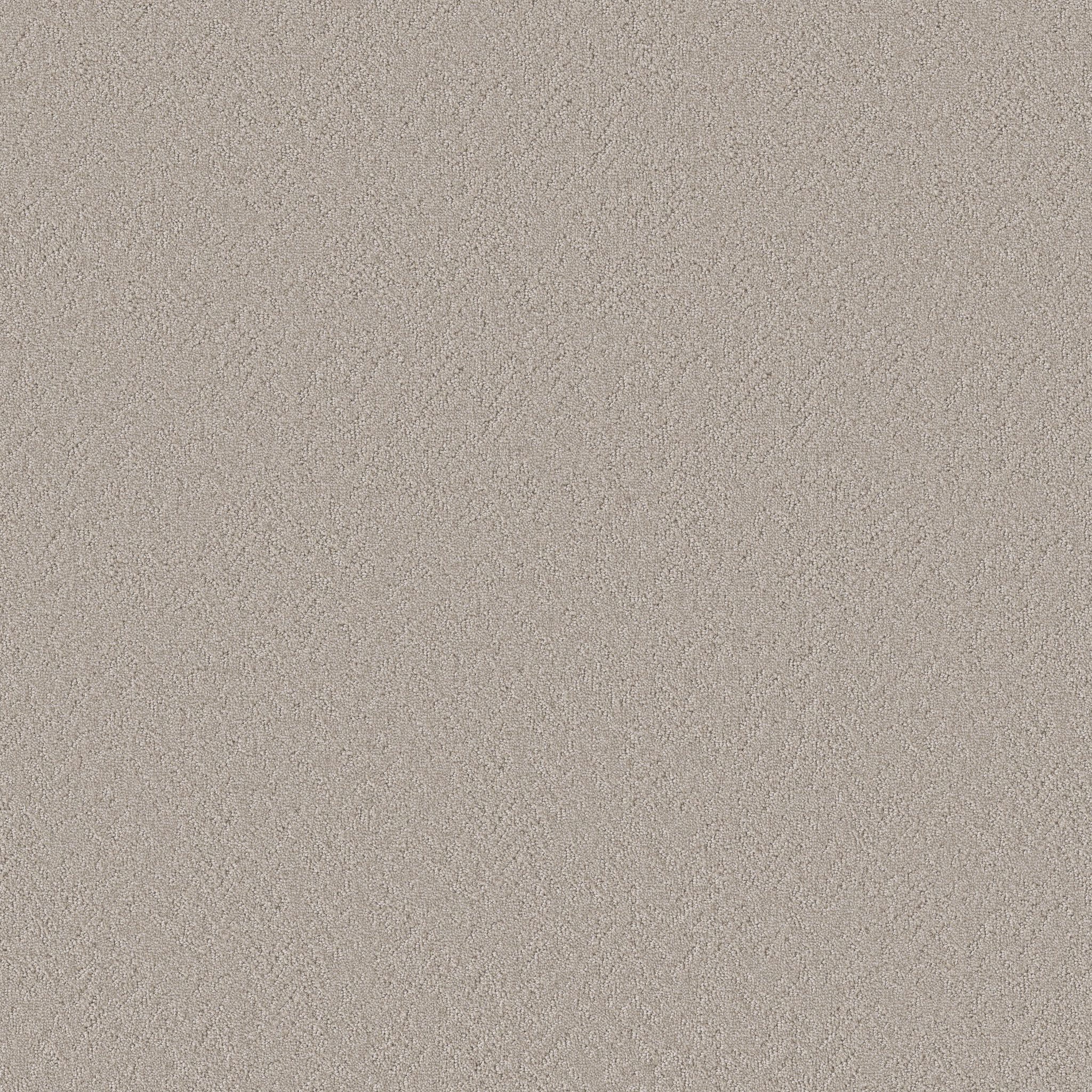 Whisper Field-Fringe-HFP17_00124