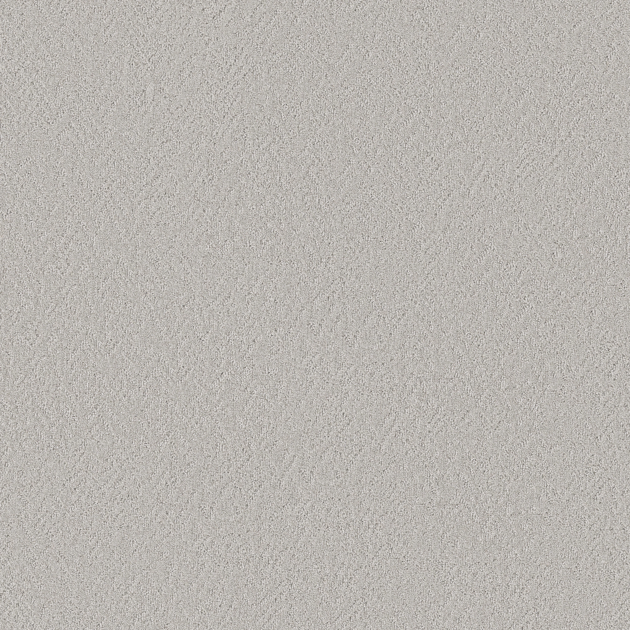 Whisper Field-Velour-HFP17_00501