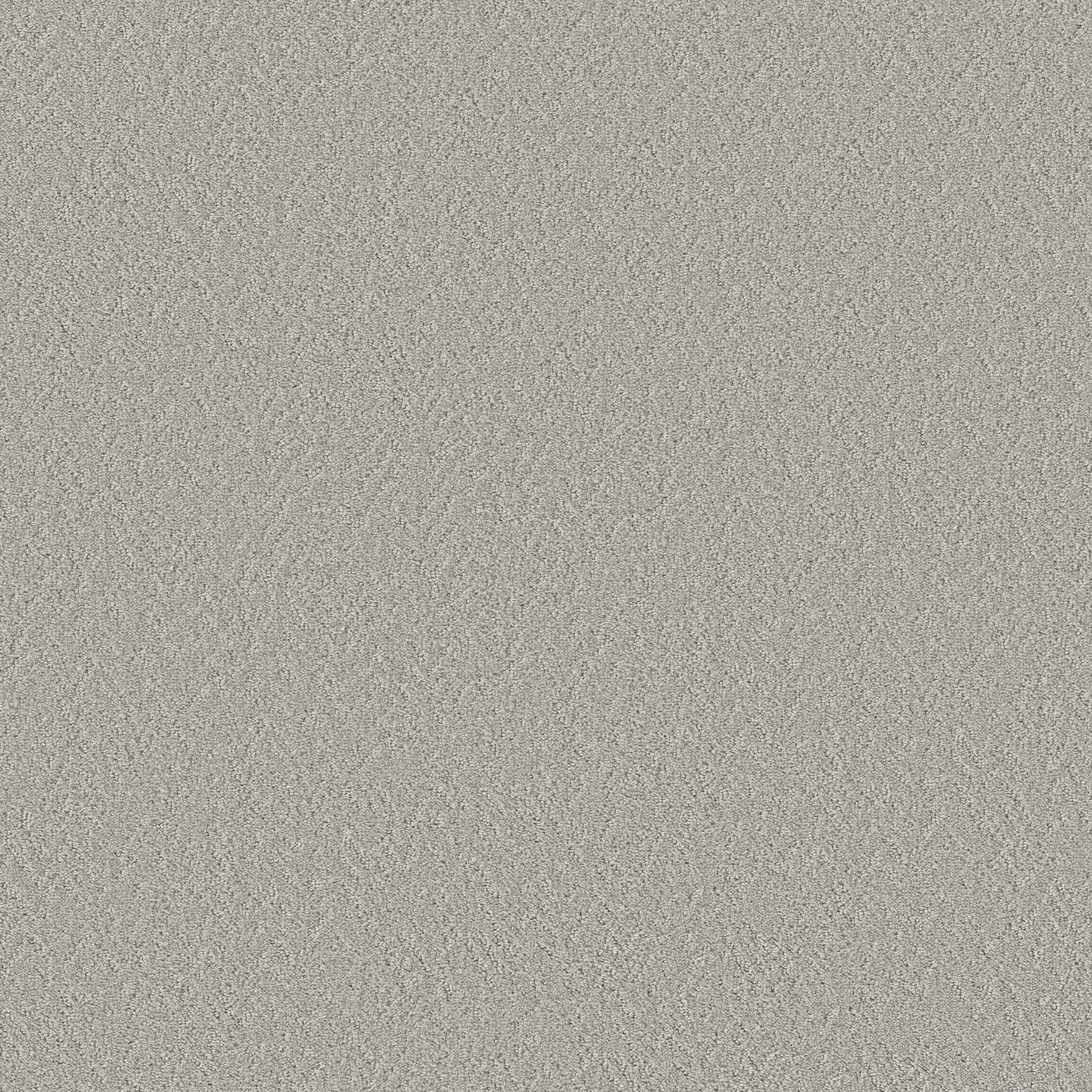 Whisper Field-Chromatic-HFP17_00502