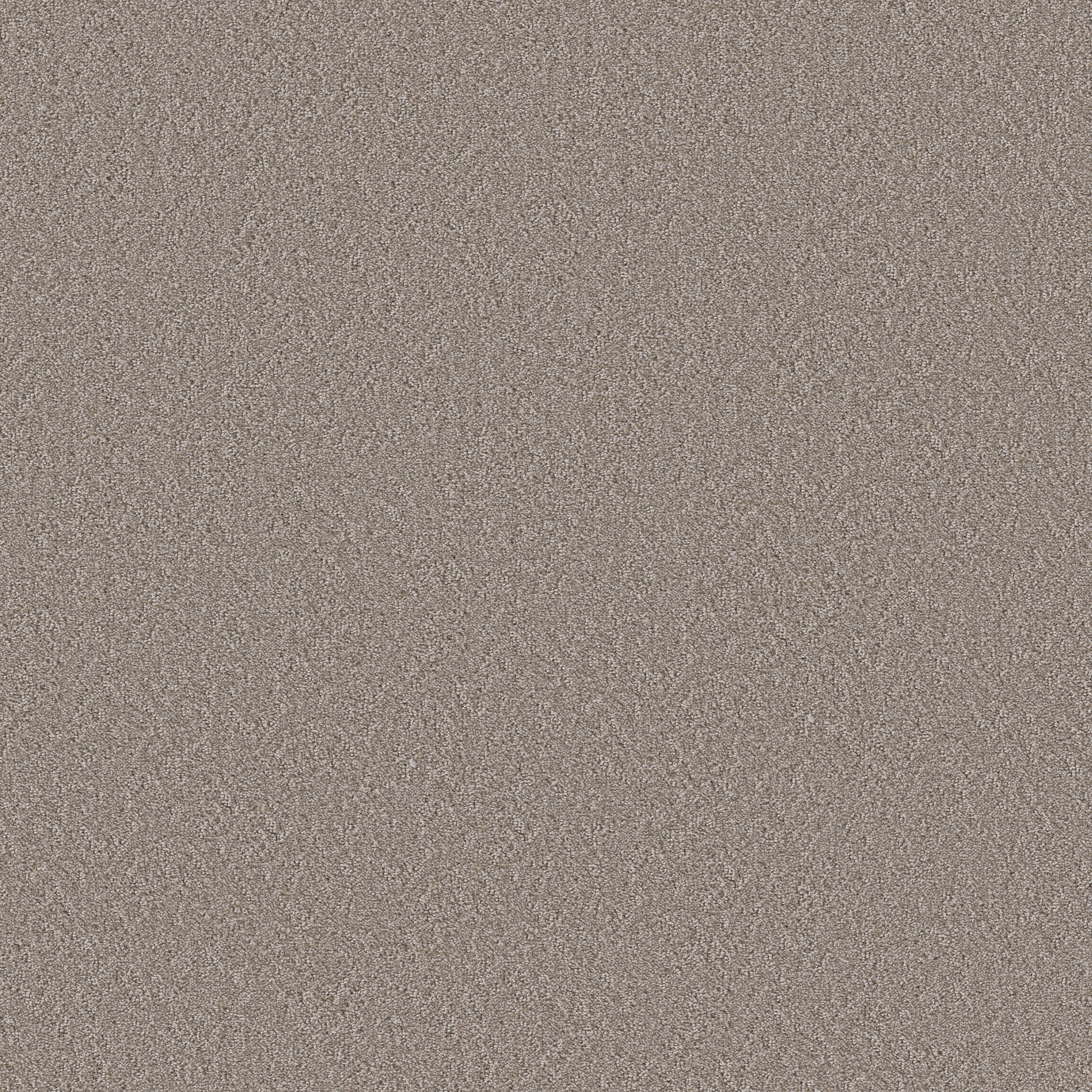 Whisper Field-Suede-HFP17_00701