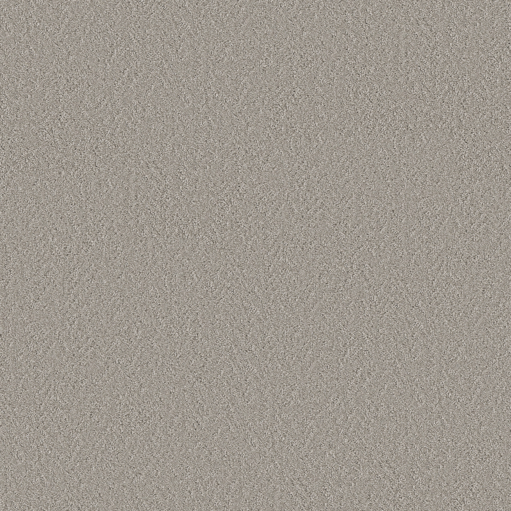 Whisper Field-Rattan-HFP17_00702