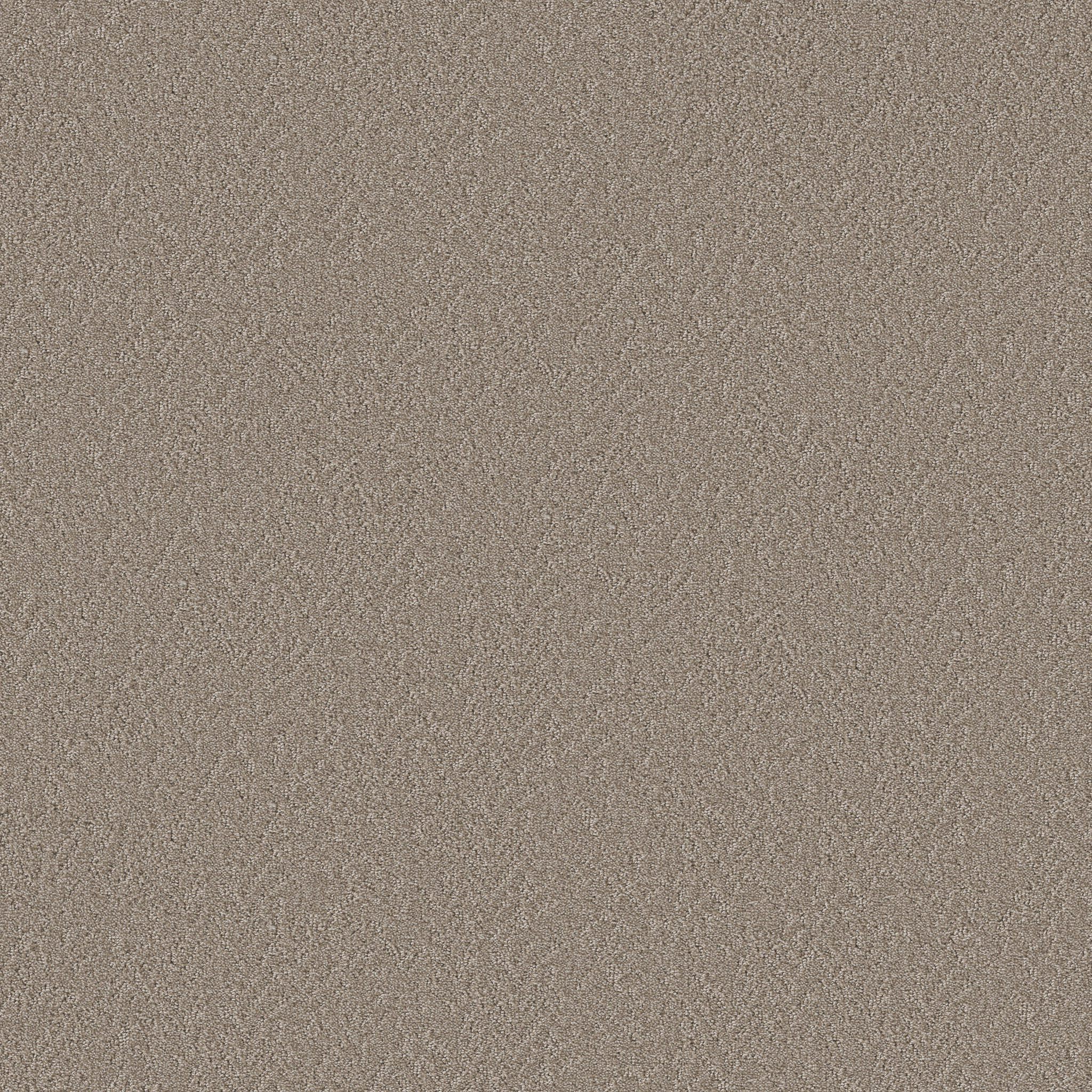 Whisper Field-Wicker-HFP17_00704