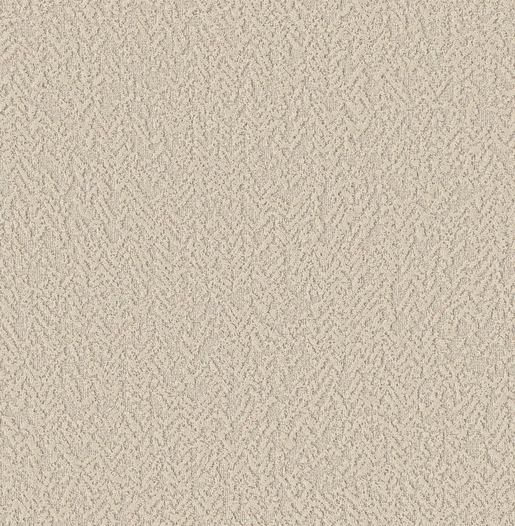 Soft Code - Whiskers - HFP19_00100