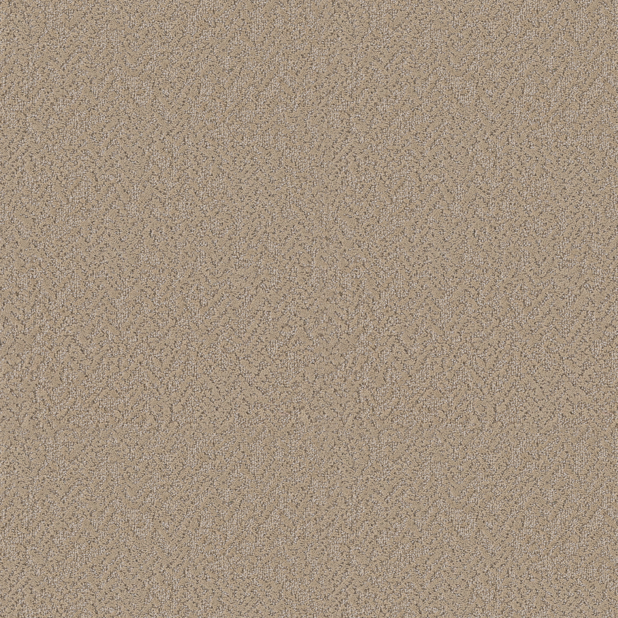 Soft Code-Sand Castle-HFP19_00103