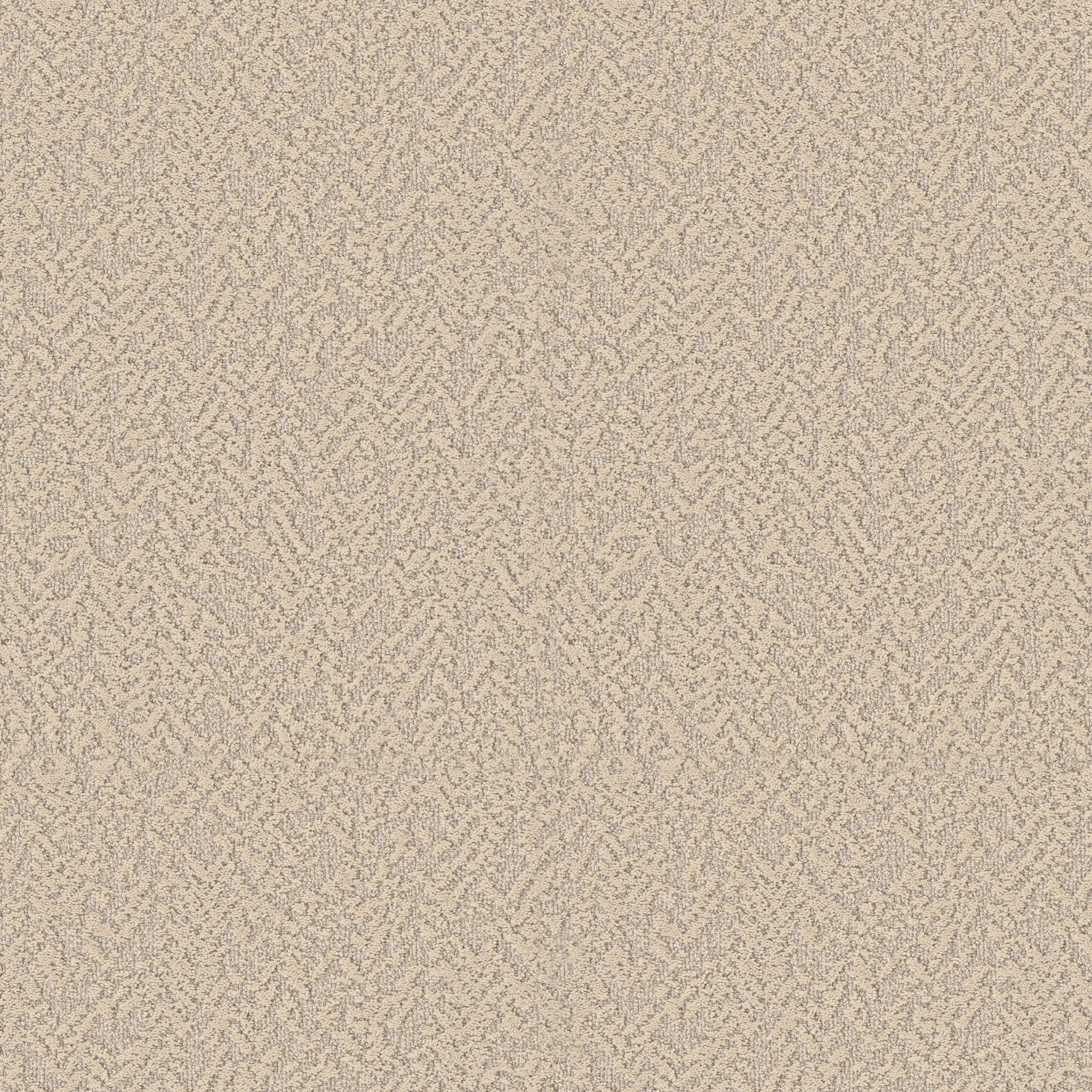 Soft Code-Dandelion-HFP19_00105