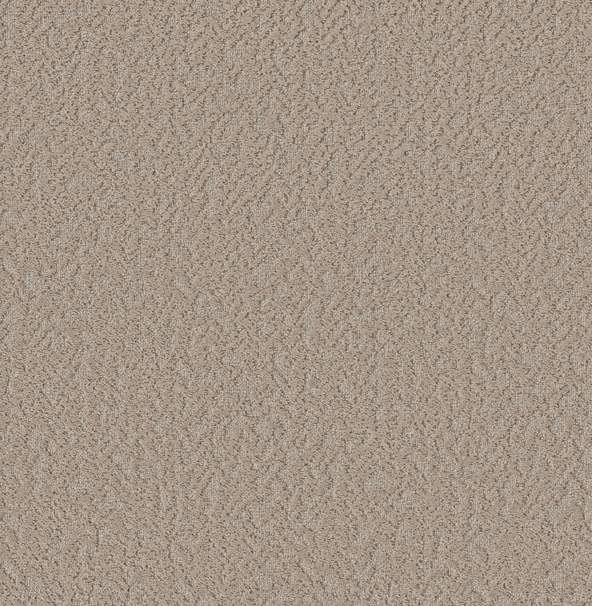 Soft Code-Picnic-HFP19_00109