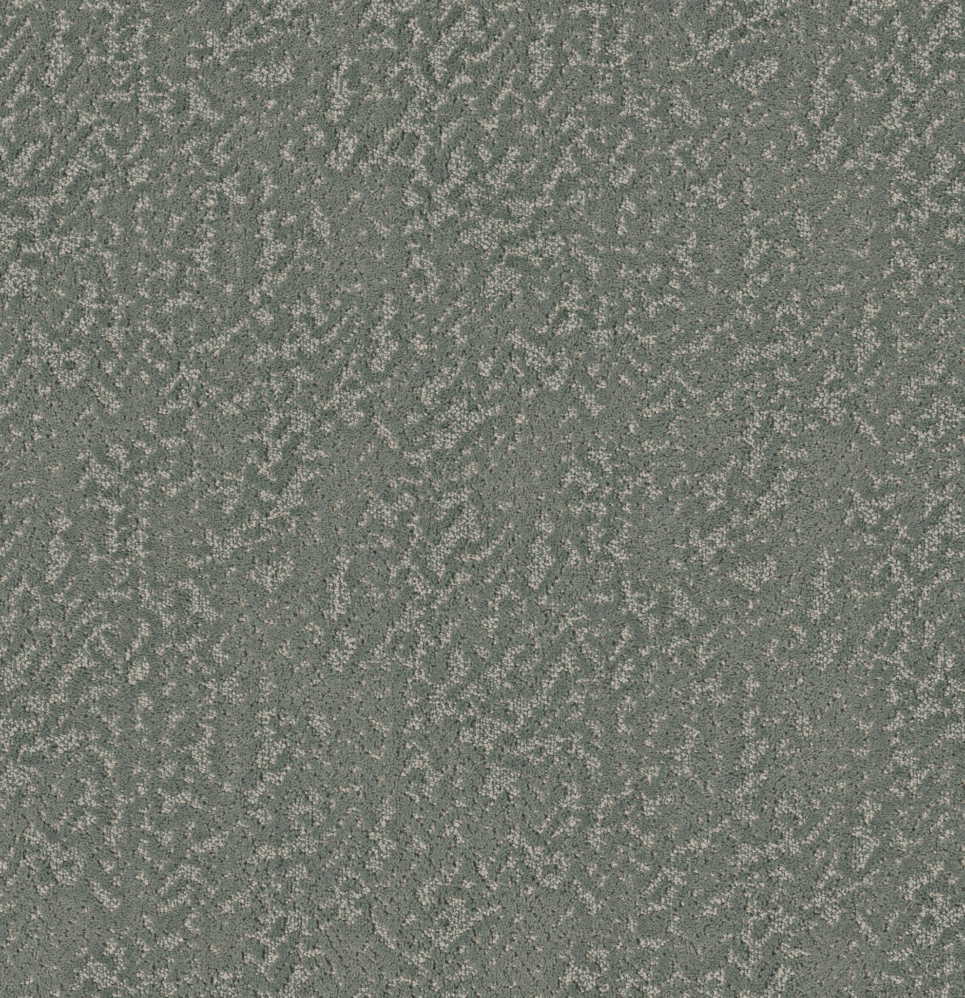 Soft Code-Dragonfly-HFP19_00301