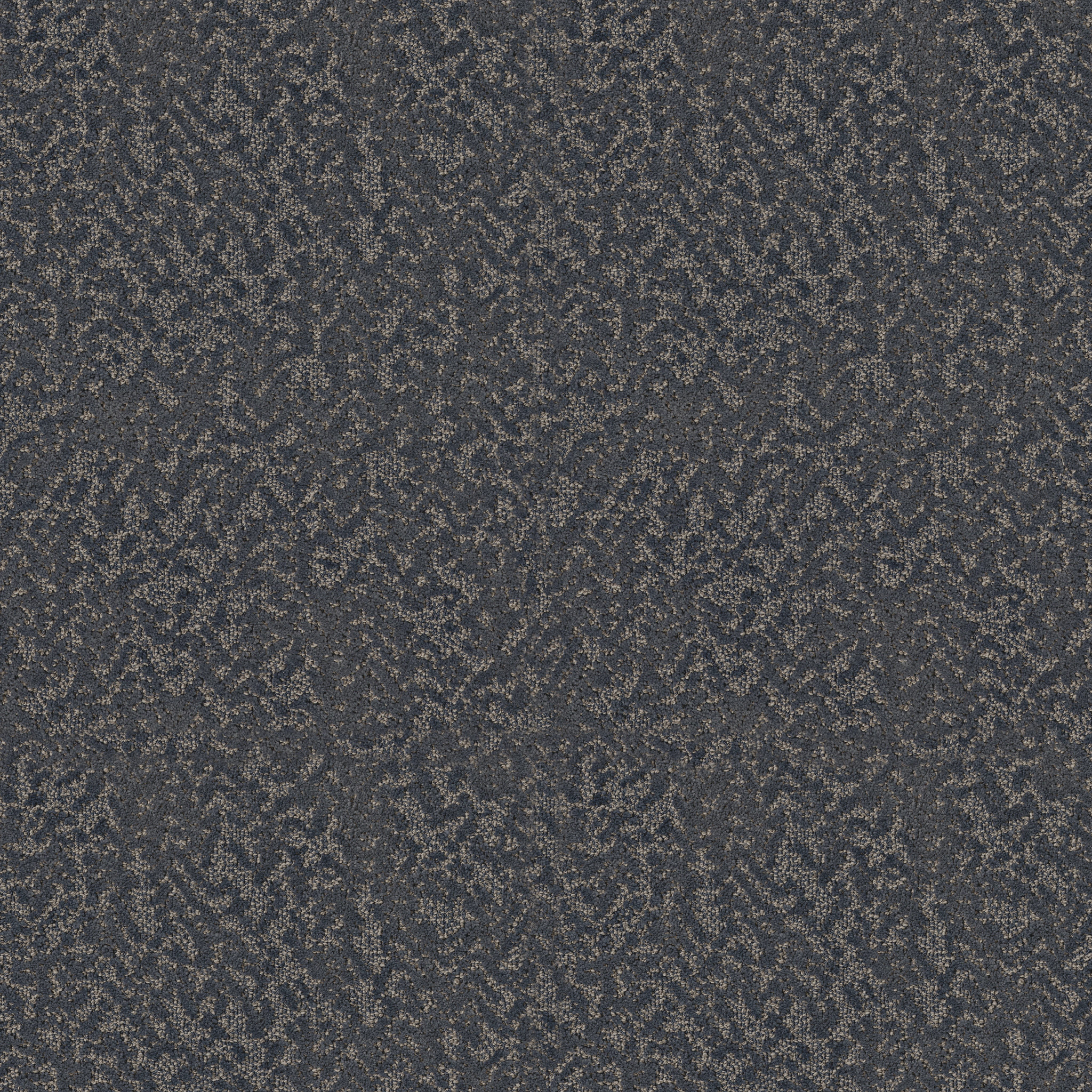 Soft Code-Starry Sky-HFP19_00402