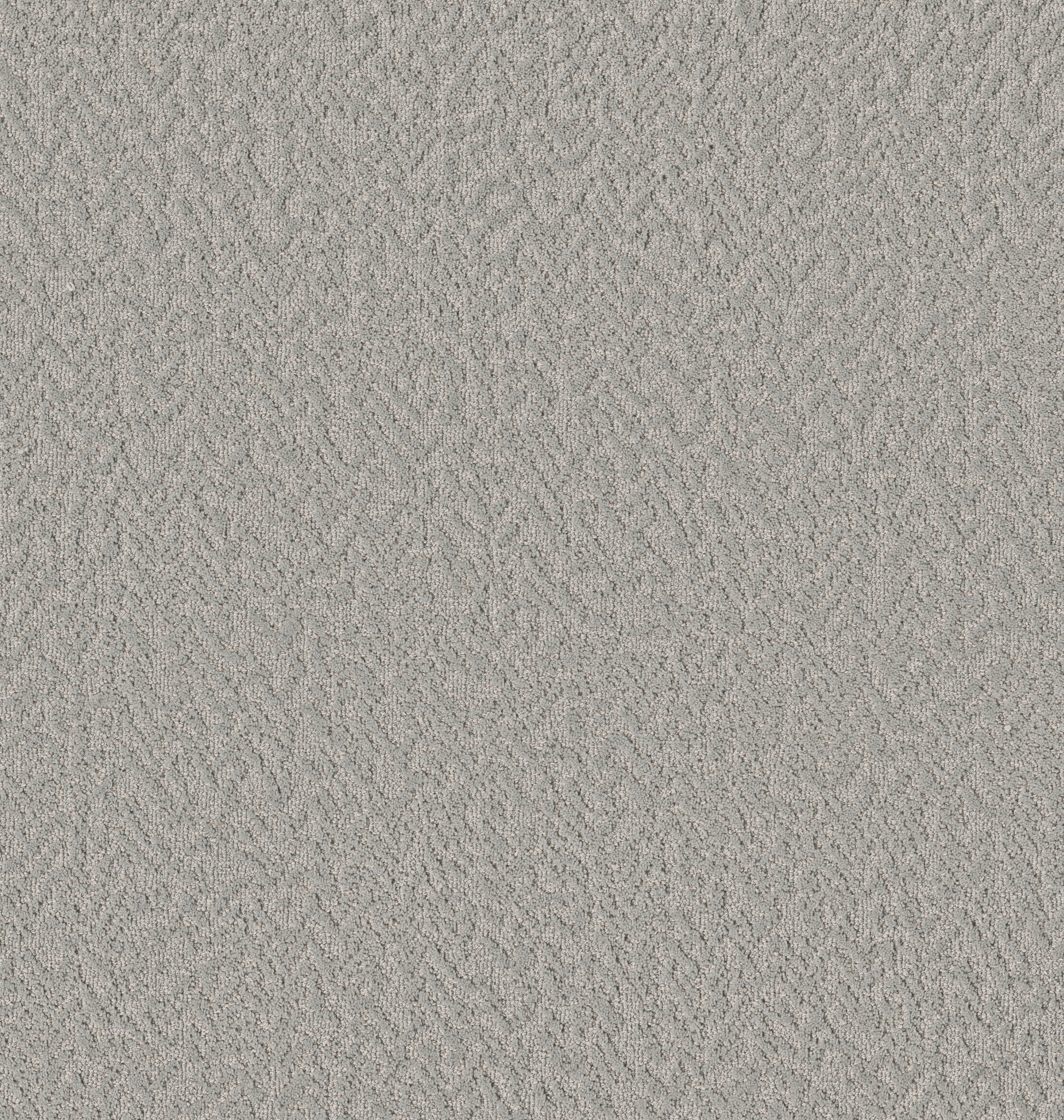 Soft Code-Birdsong-HFP19_00450