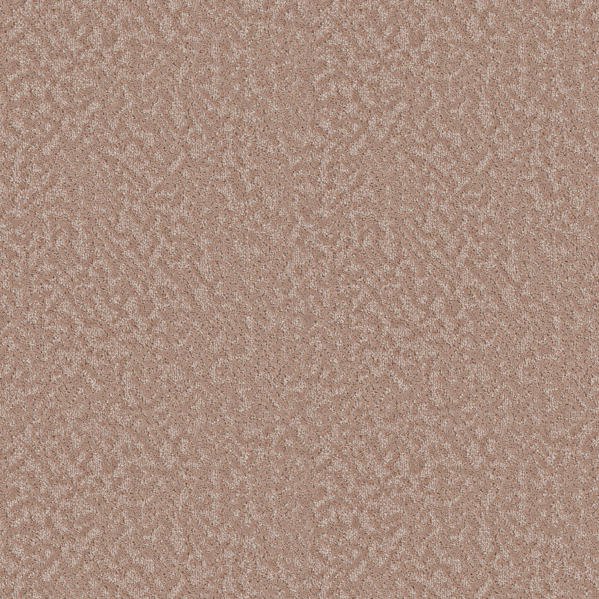 Soft Code-Lullaby-HFP19_00800