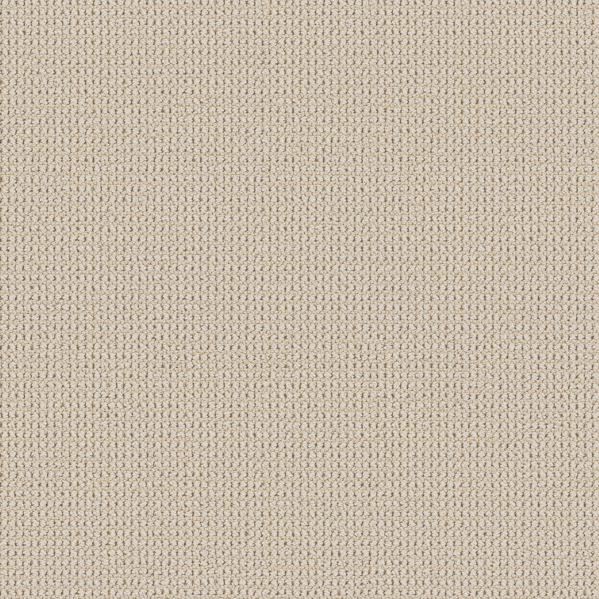 Echo Root - Linen - HFP22_00100