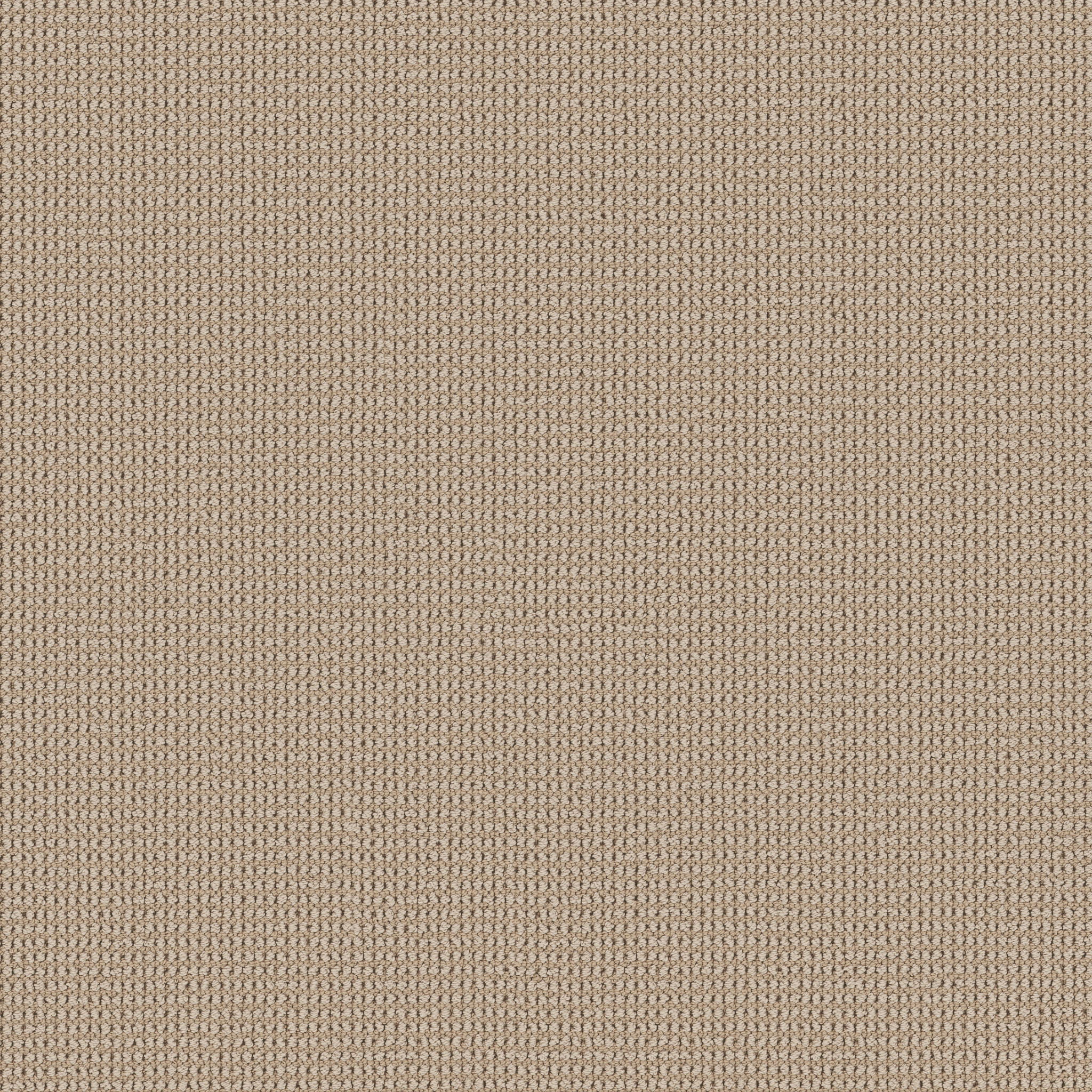 Echo Root-Cashmere-HFP22_00103