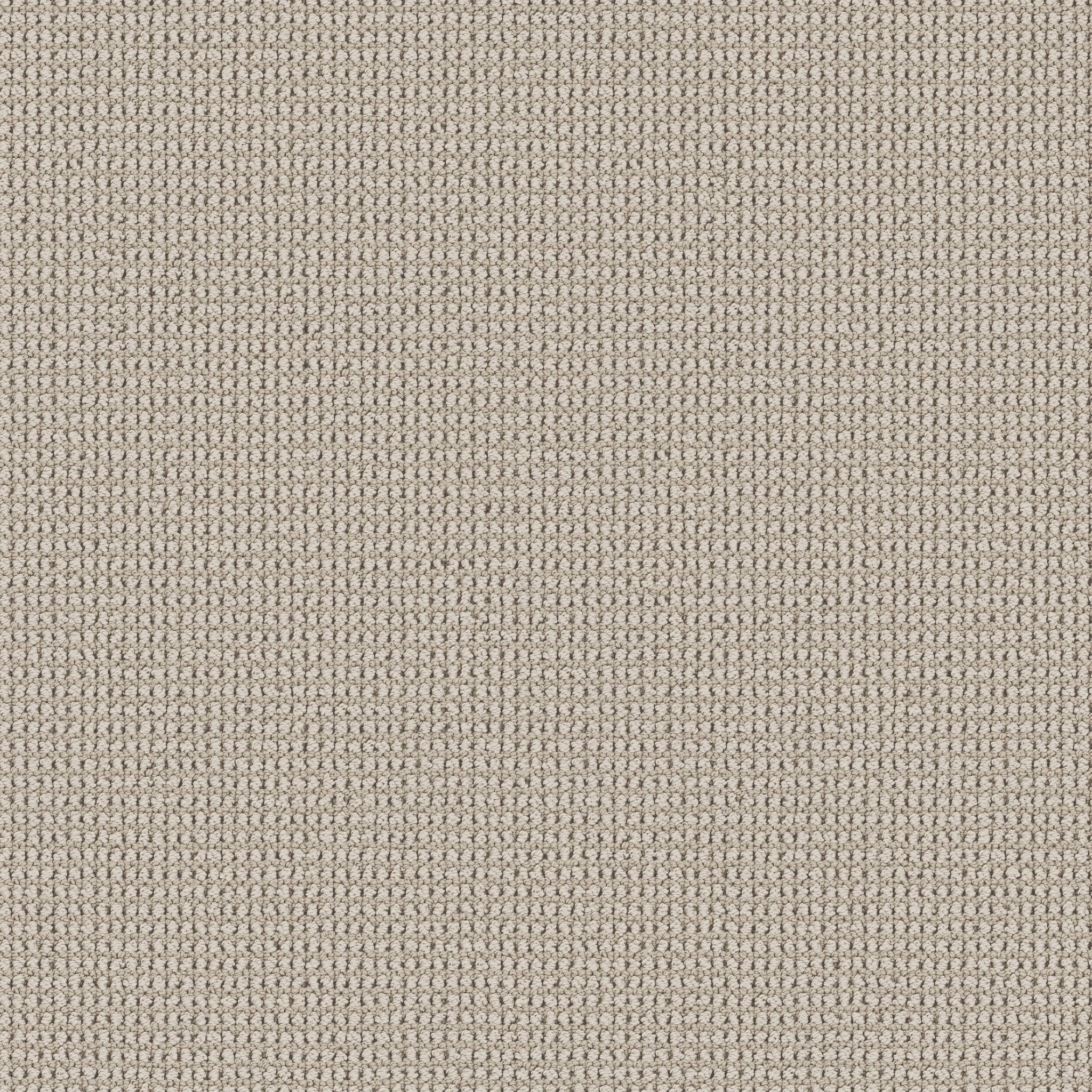 Echo Root-Sand Dollar-HFP22_00107